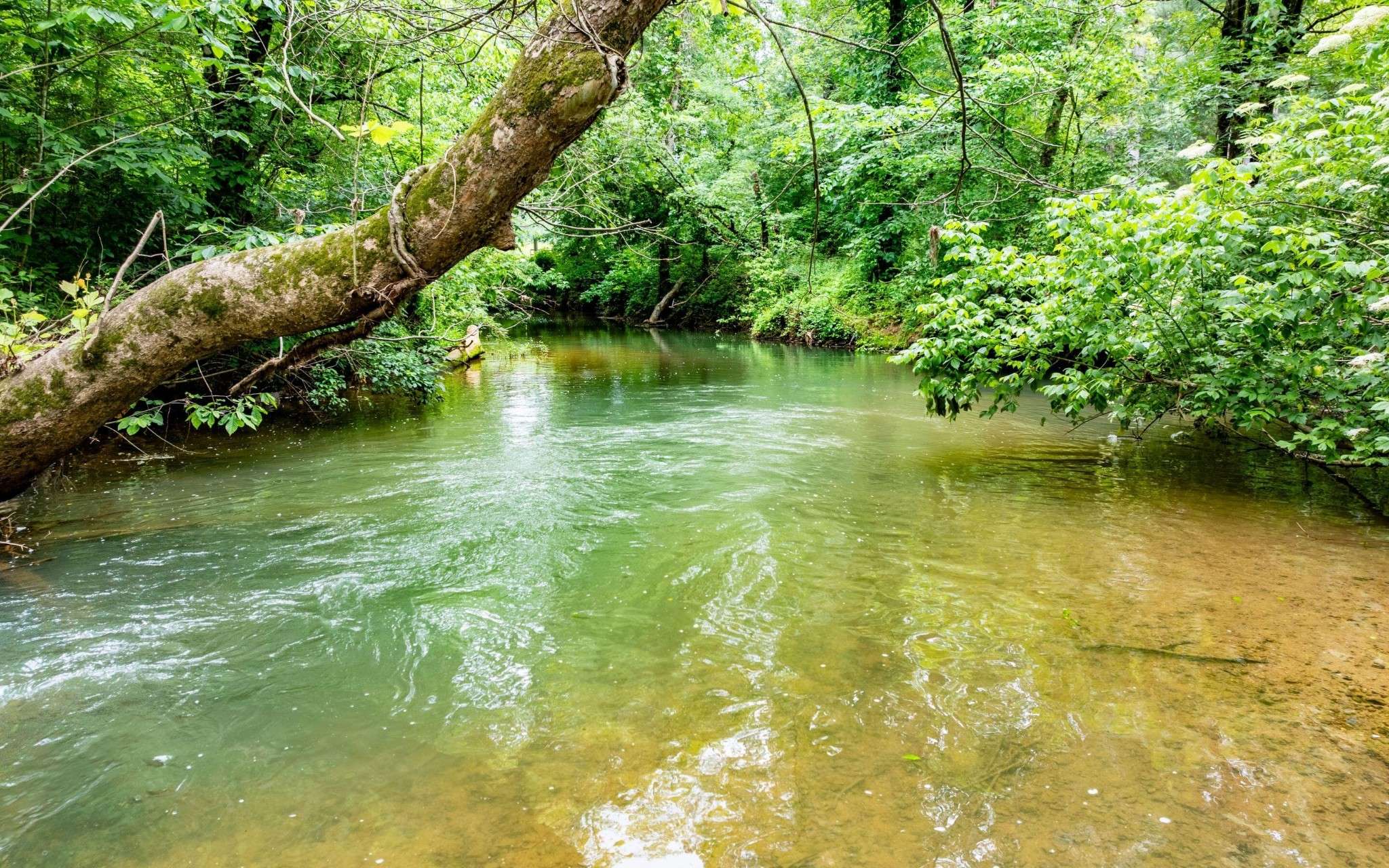 Rydal, GA 30171,0 Pine Hill Road #SE