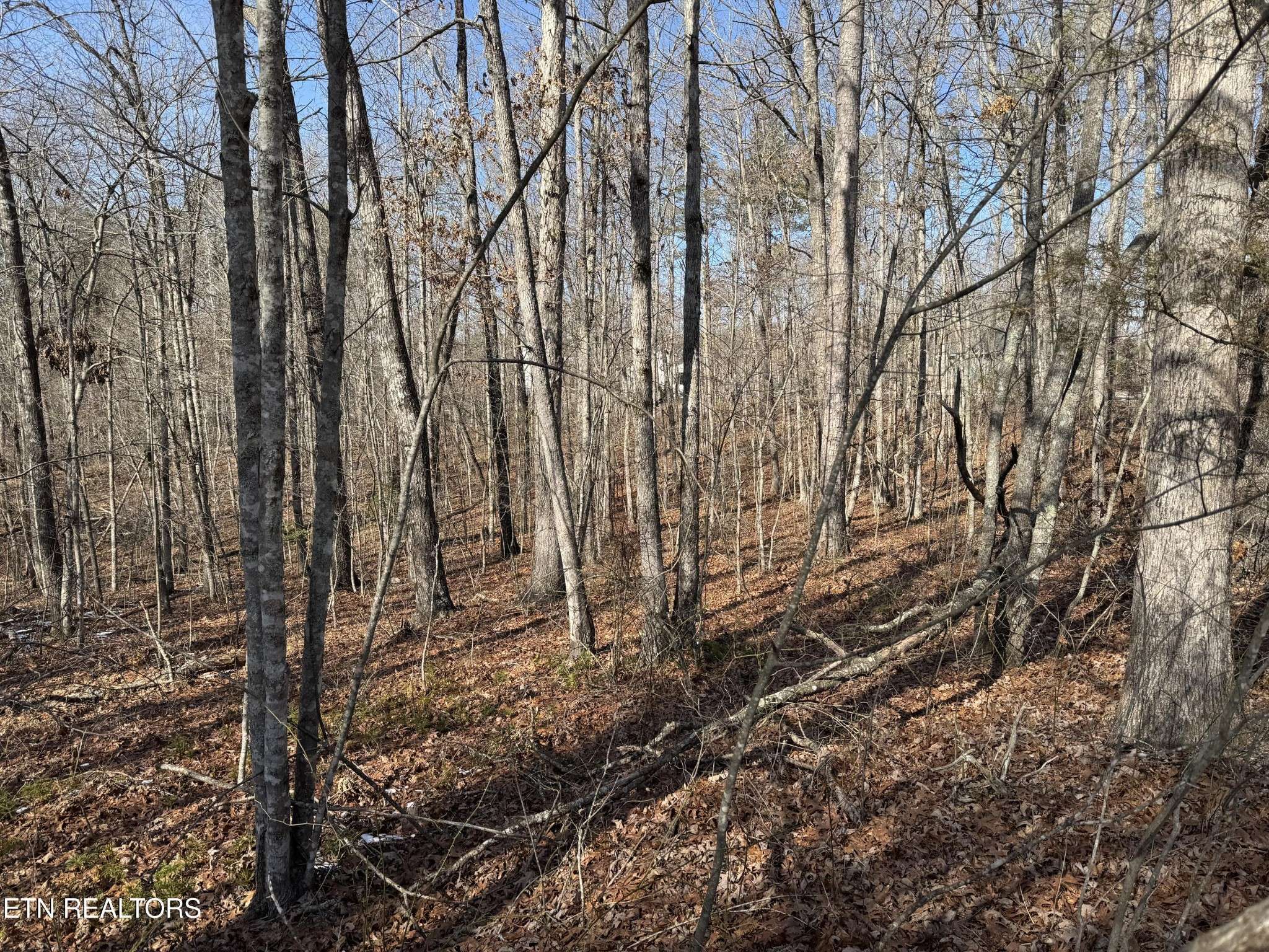 Monterey, TN 38574,0 Belmont Circle