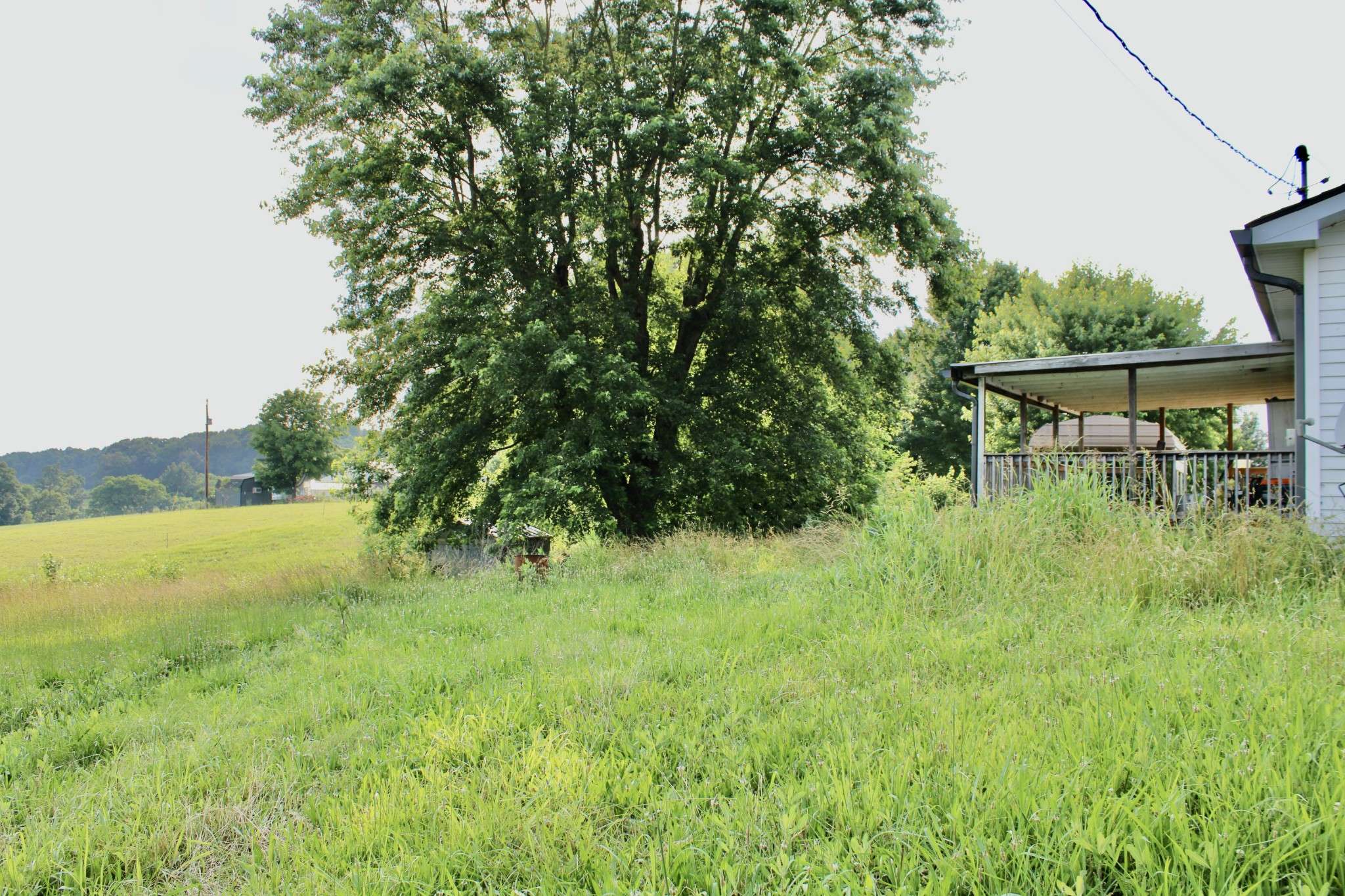 Springfield, TN 37172,6442 Highway 161