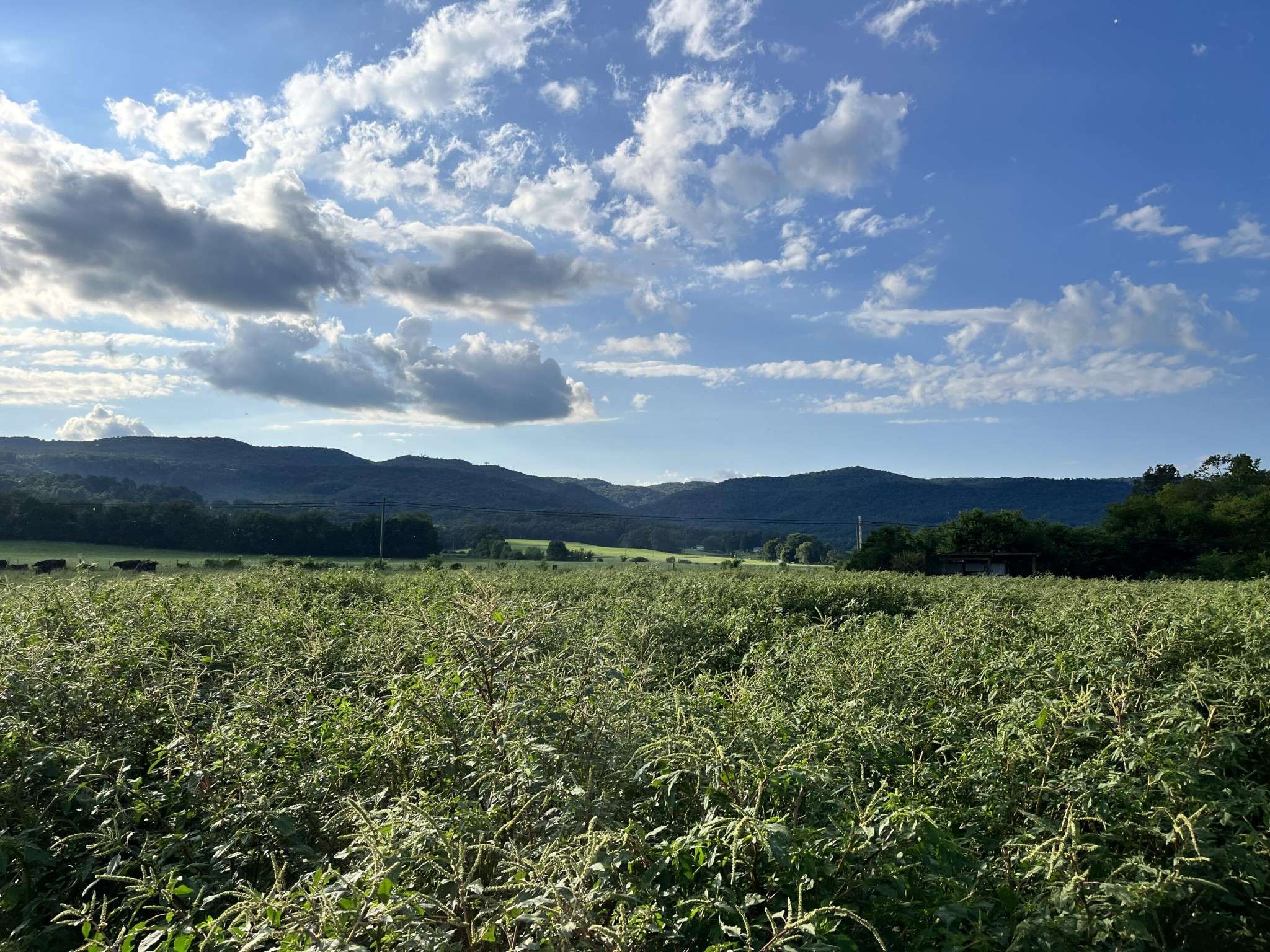 Pikeville, TN 37367,0 Old State Highway 28