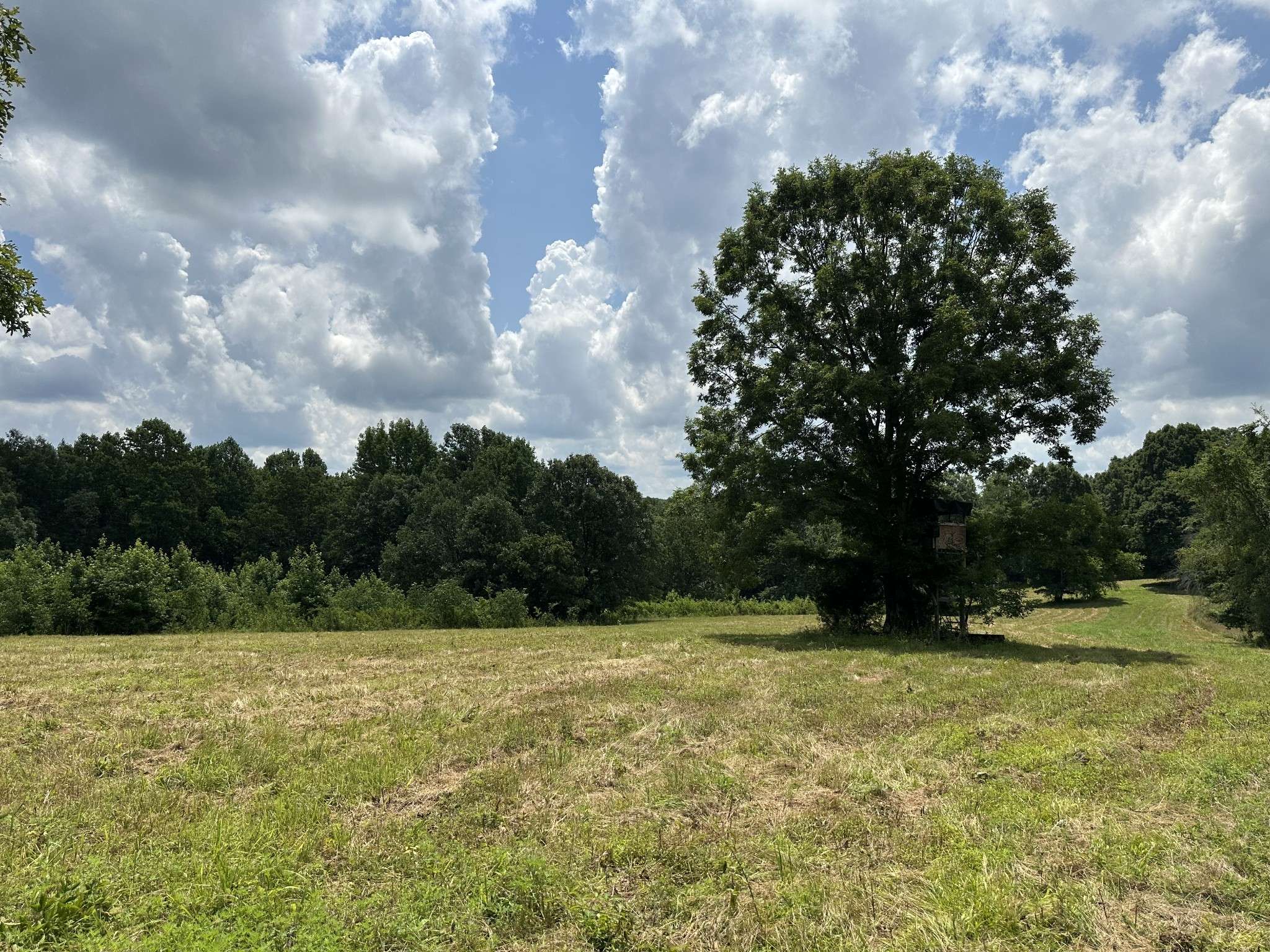 Erin, TN 37061,0 Darrell Rye Road
