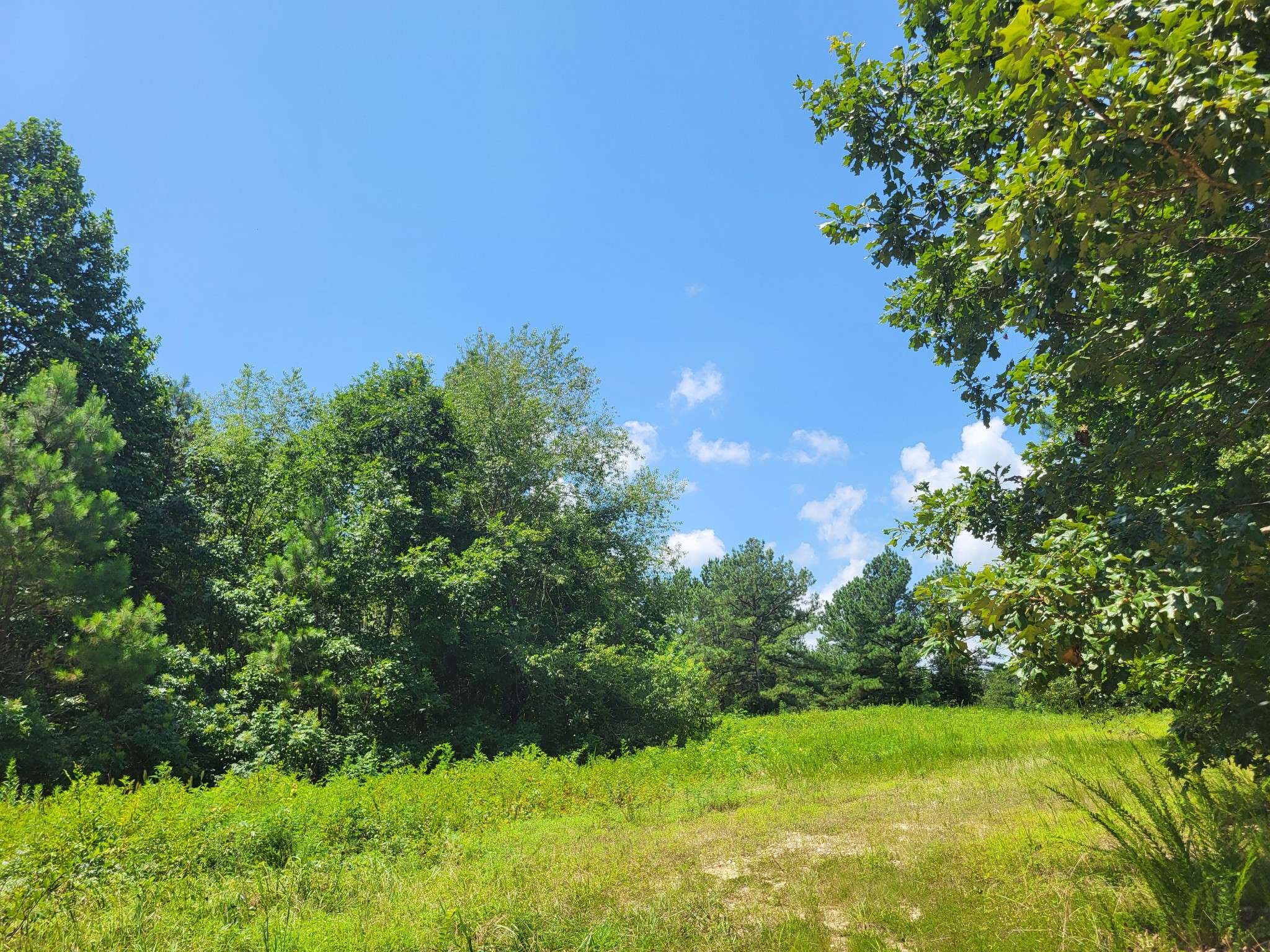 Holladay, TN 38341,1 Strawberry Gables