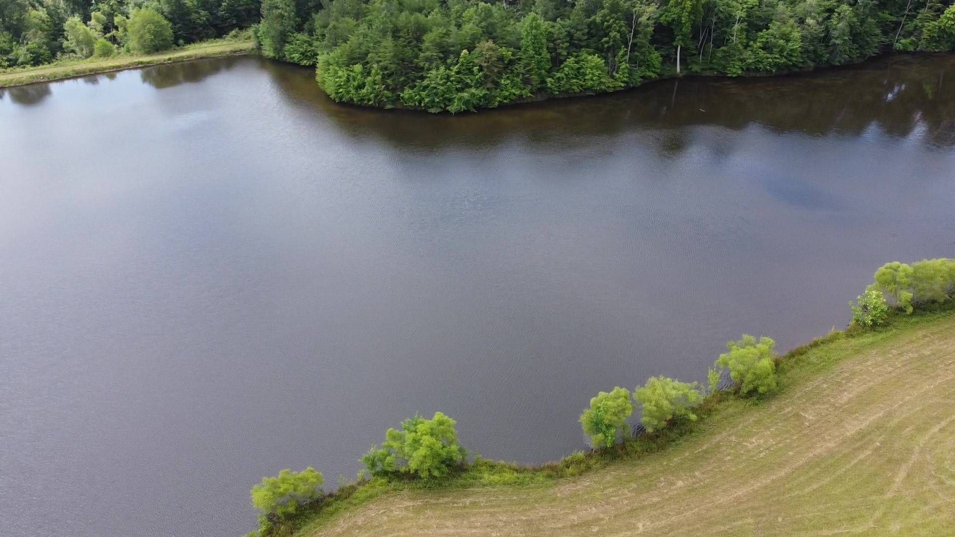 Spencer, TN 38585,0 Bridle Trail