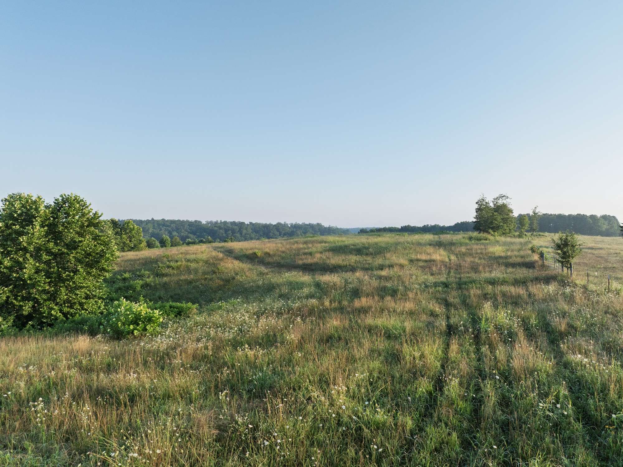 Nunnelly, TN 37137,12003 Woodland Trl