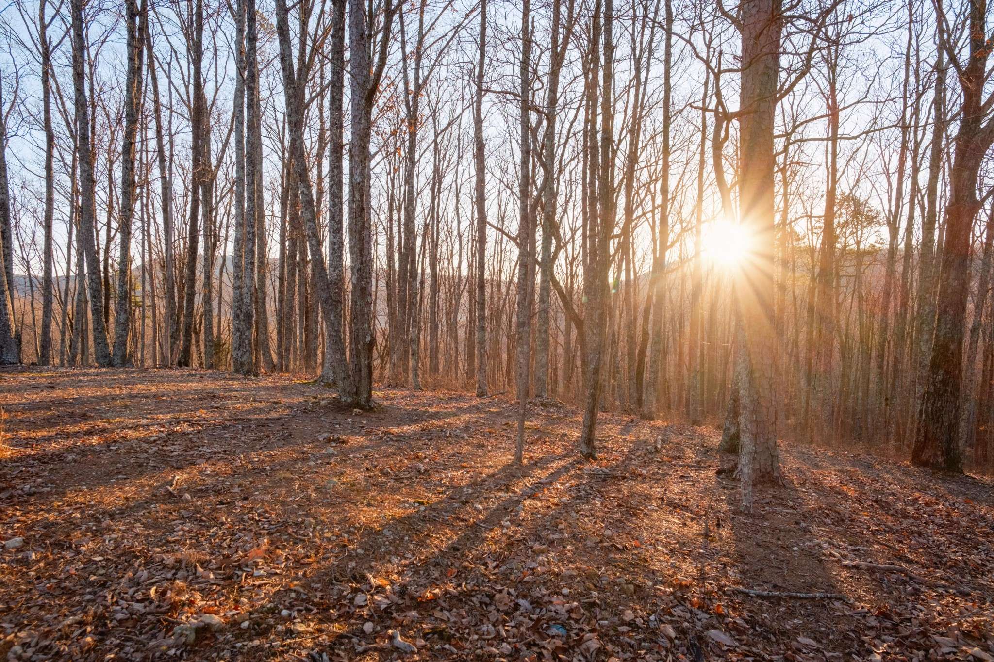 Chickamauga, GA 30707,0 Hog Jowl Road