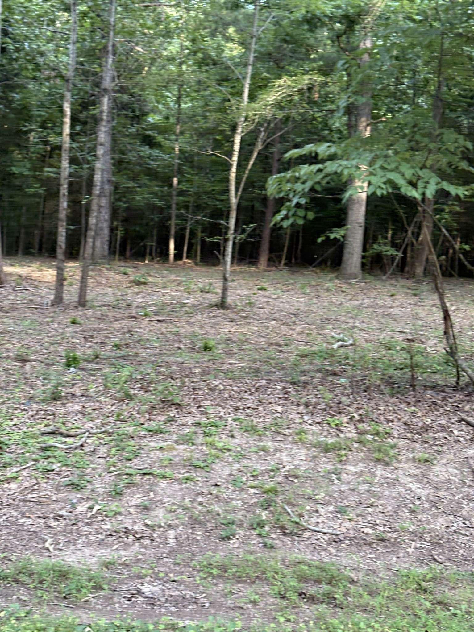 Burns, TN 37029,0 Iron Hill