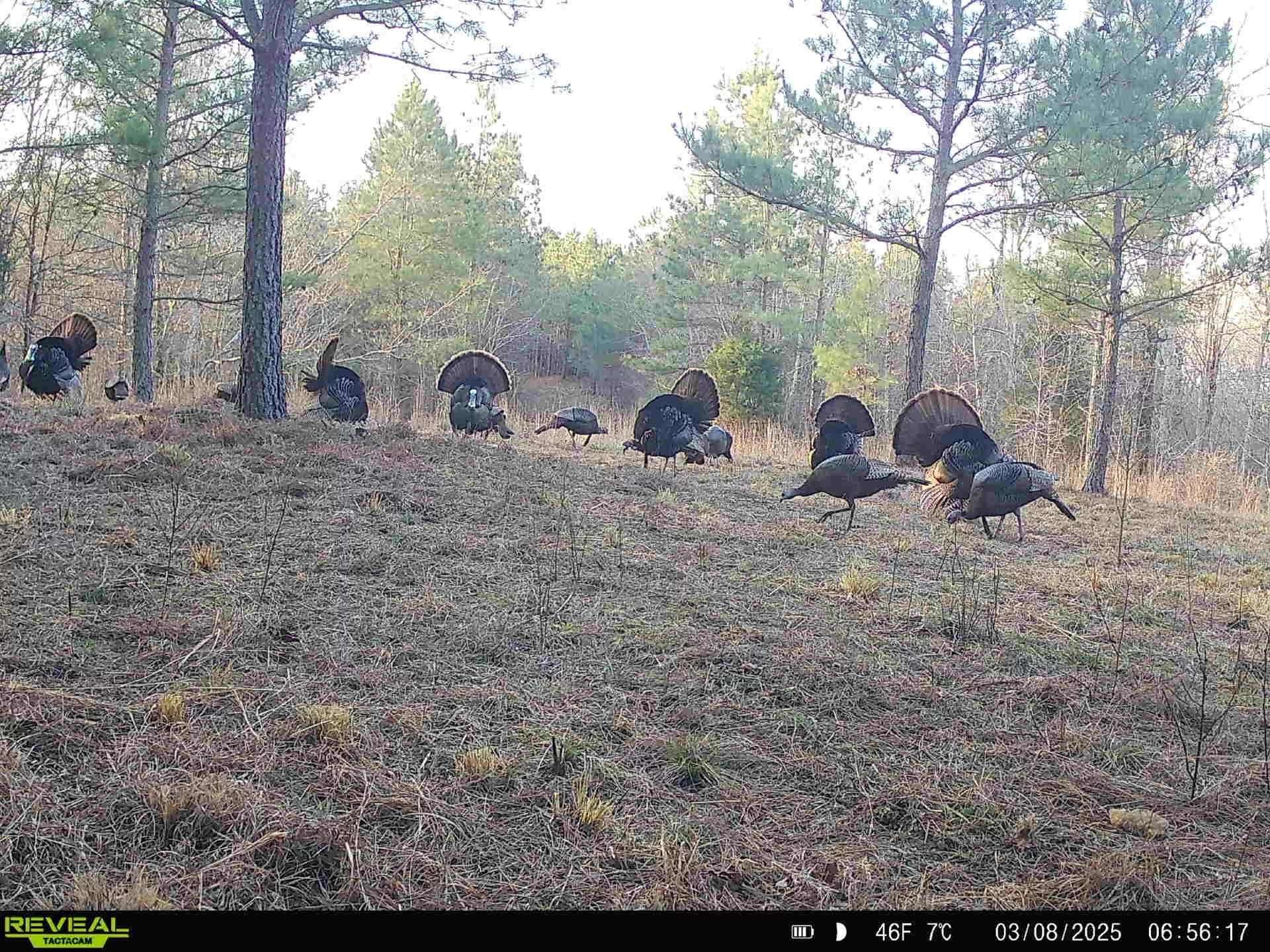 Eva, TN 38333,5597 Harmon Creek Rd