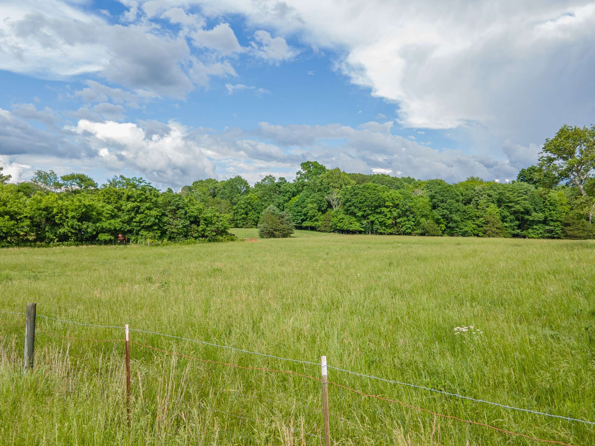 Lewisburg, TN 37091,0 Franklin Pike