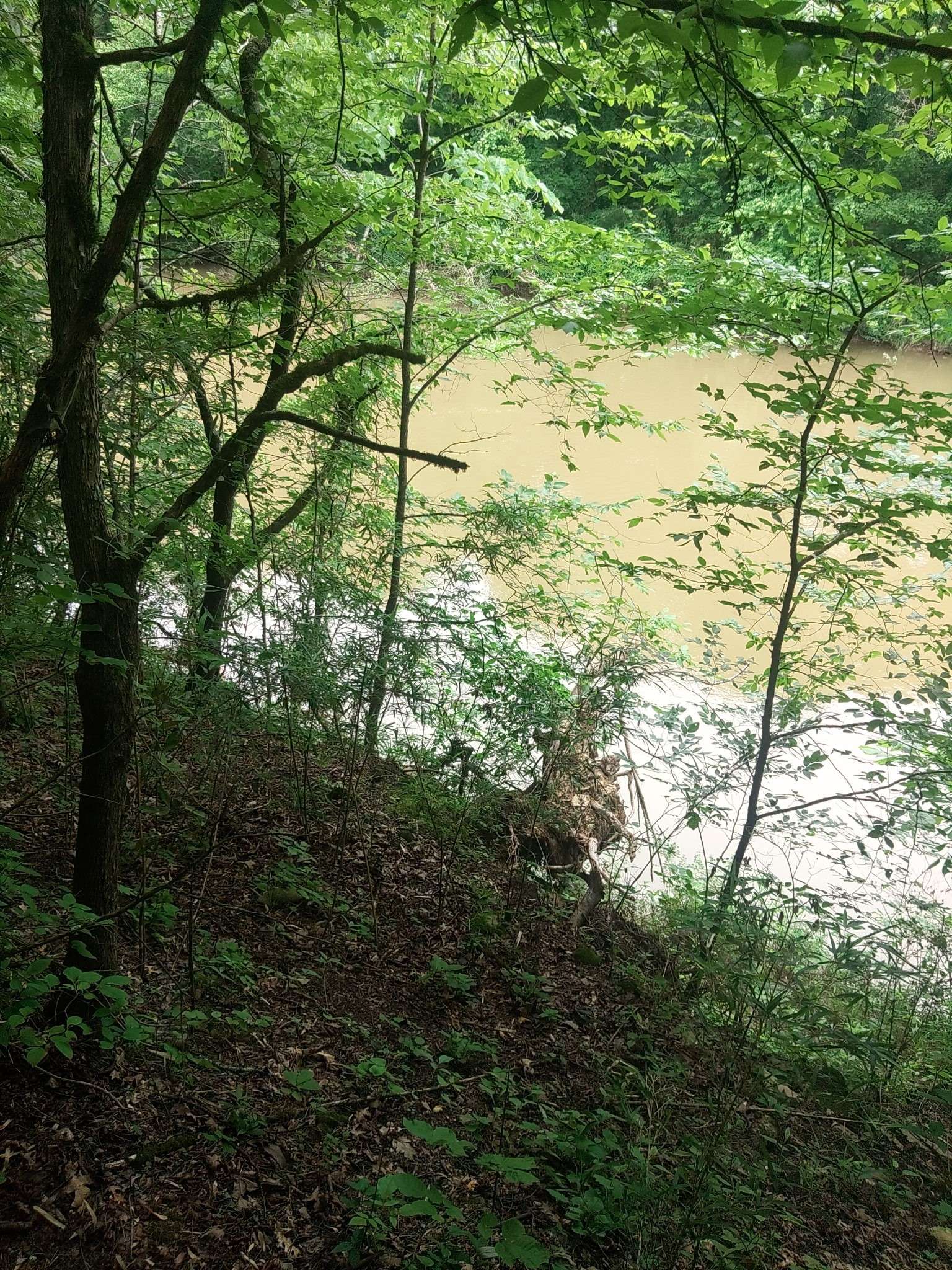 Ardmore, TN 38449,468 Adams Rd