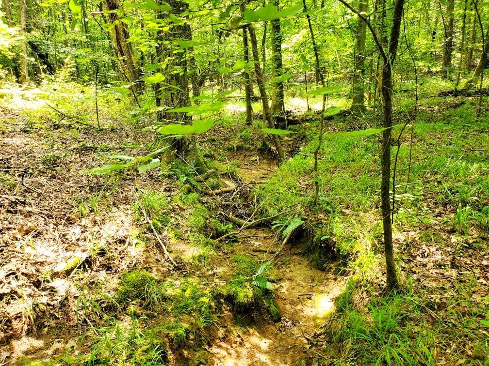 Camden, TN 38320,0 Bethel Farm Loop