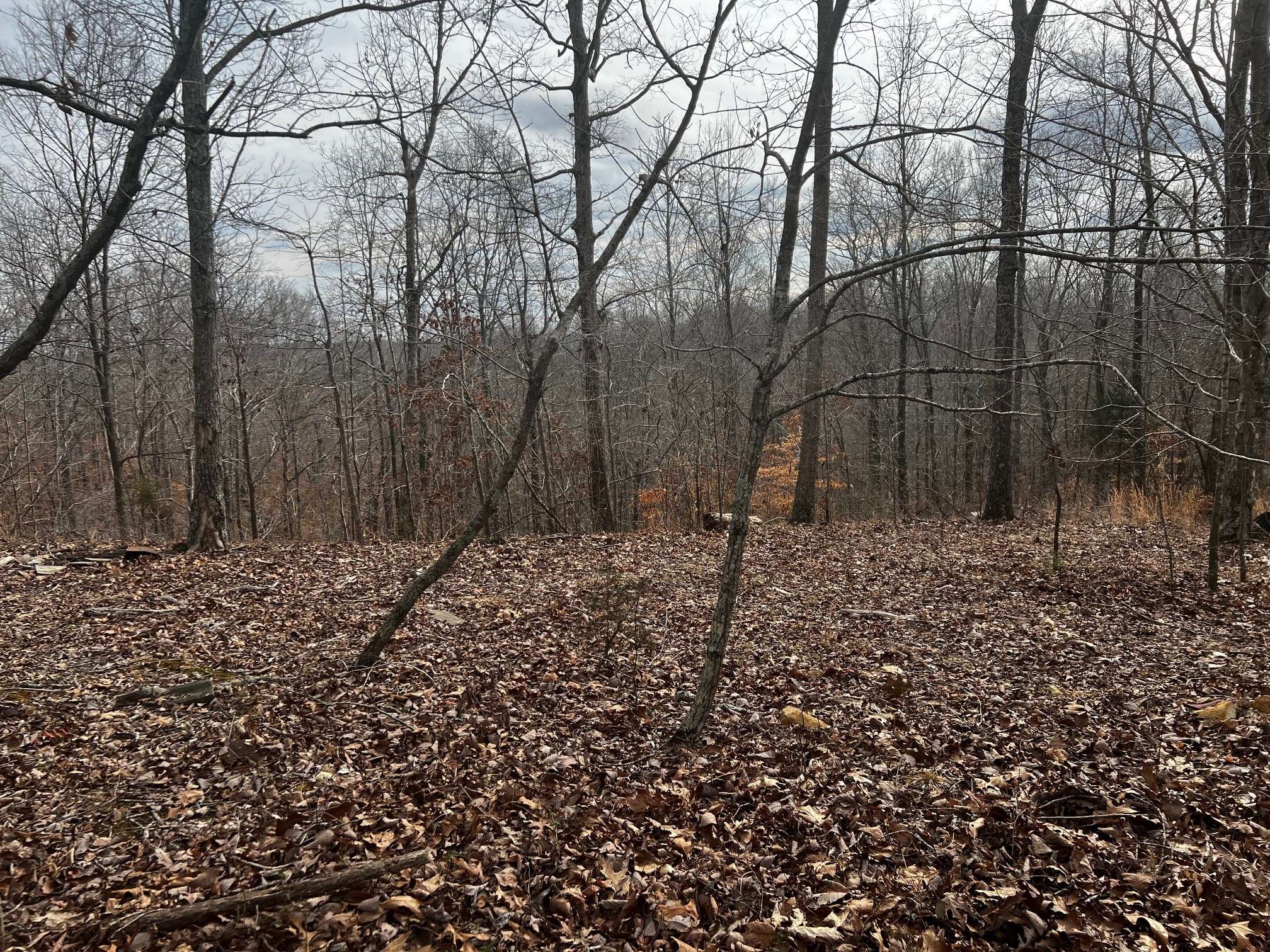 Dover, TN 37058,610 Bumpus Mills Rd