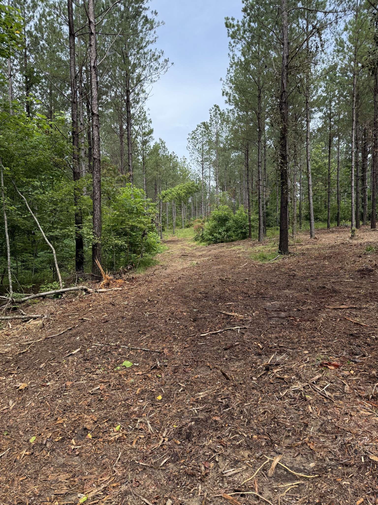 Spencer, TN 38585,0 Spokelay Rd