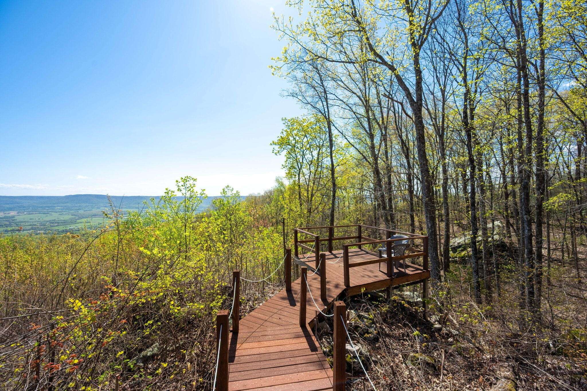 Pikeville, TN 37367,264 Harlee Vista Road