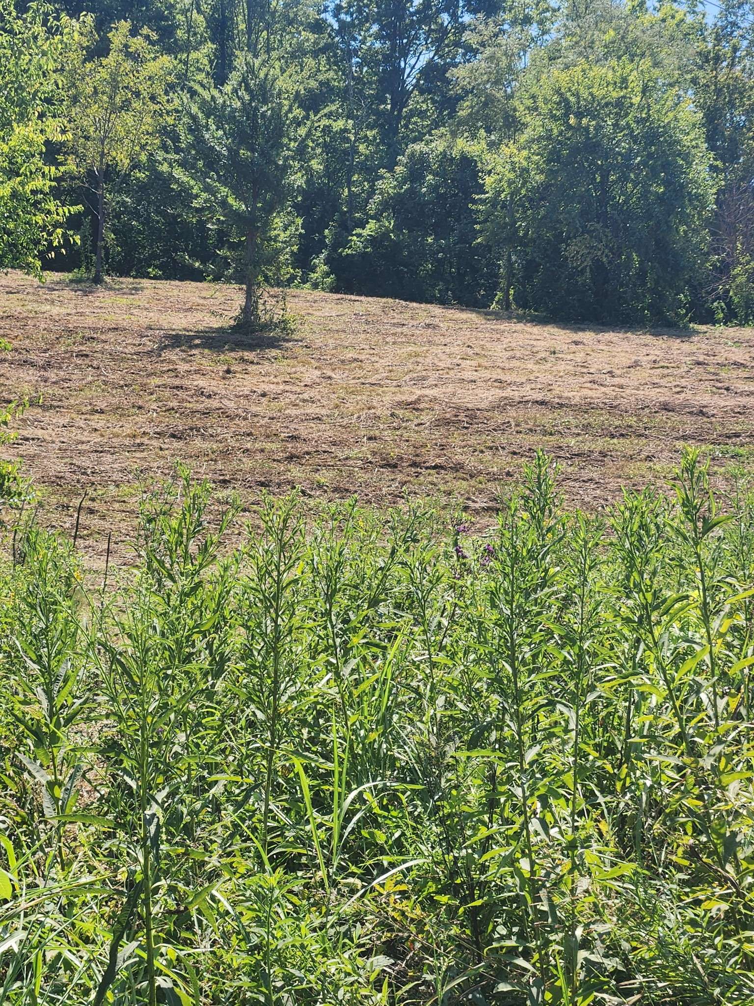 Gordonsville, TN 38563,0 Hix Road