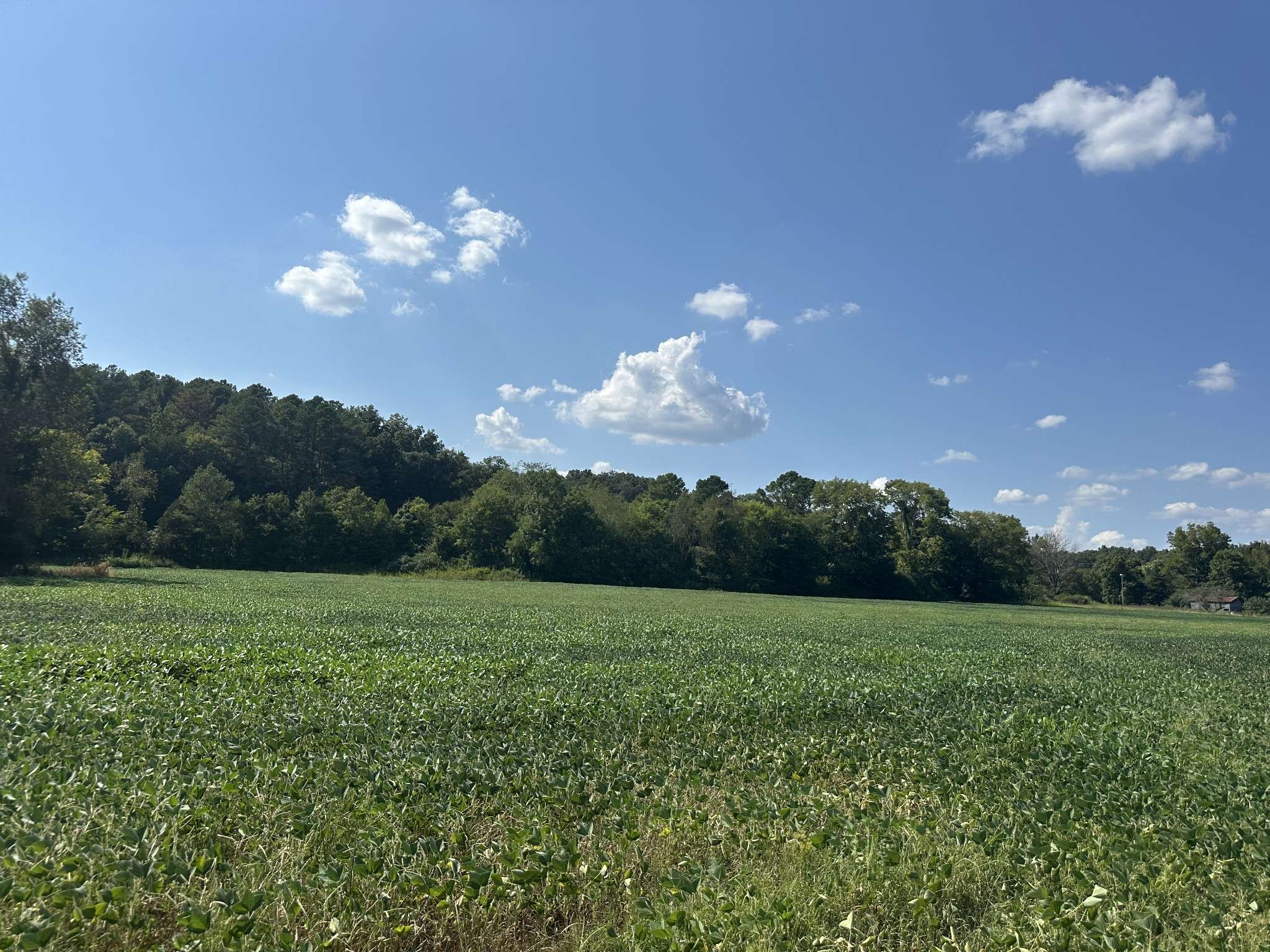 Cadiz, KY 42211,15608 South Road