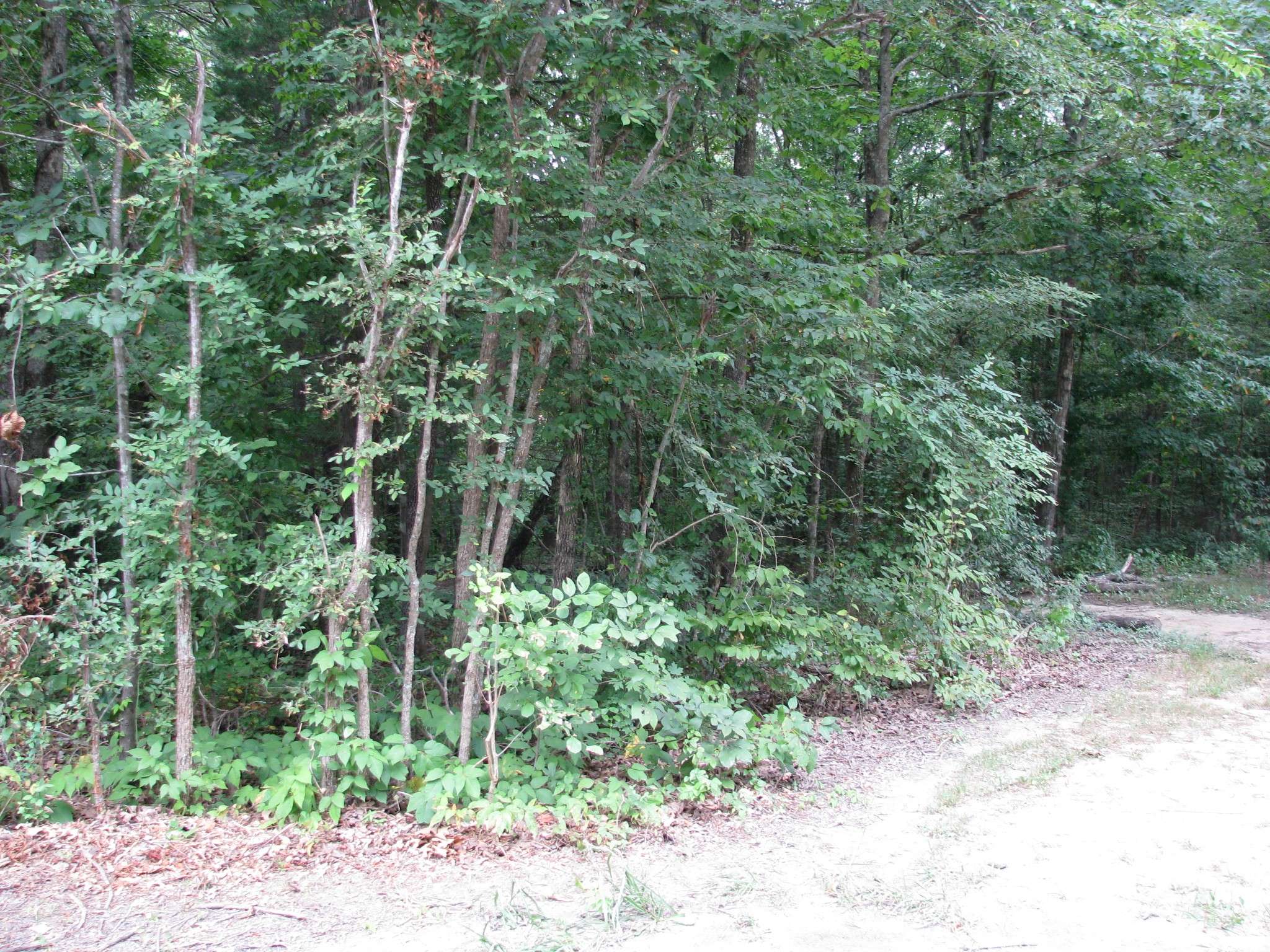 Waverly, TN 37185,128 Washington Cir