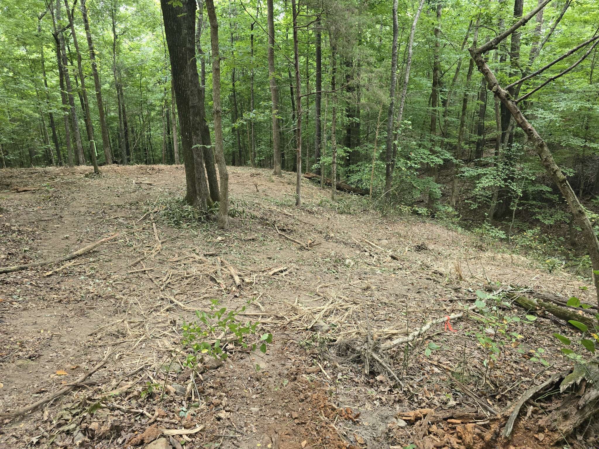 Waverly, TN 37185,0 Cedar Hill Dr