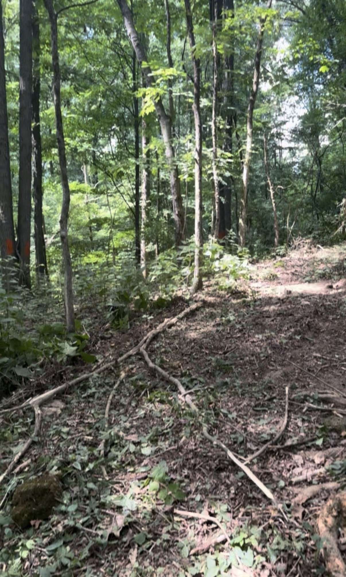 Goodlettsville, TN 37072,1 Hitt Lane