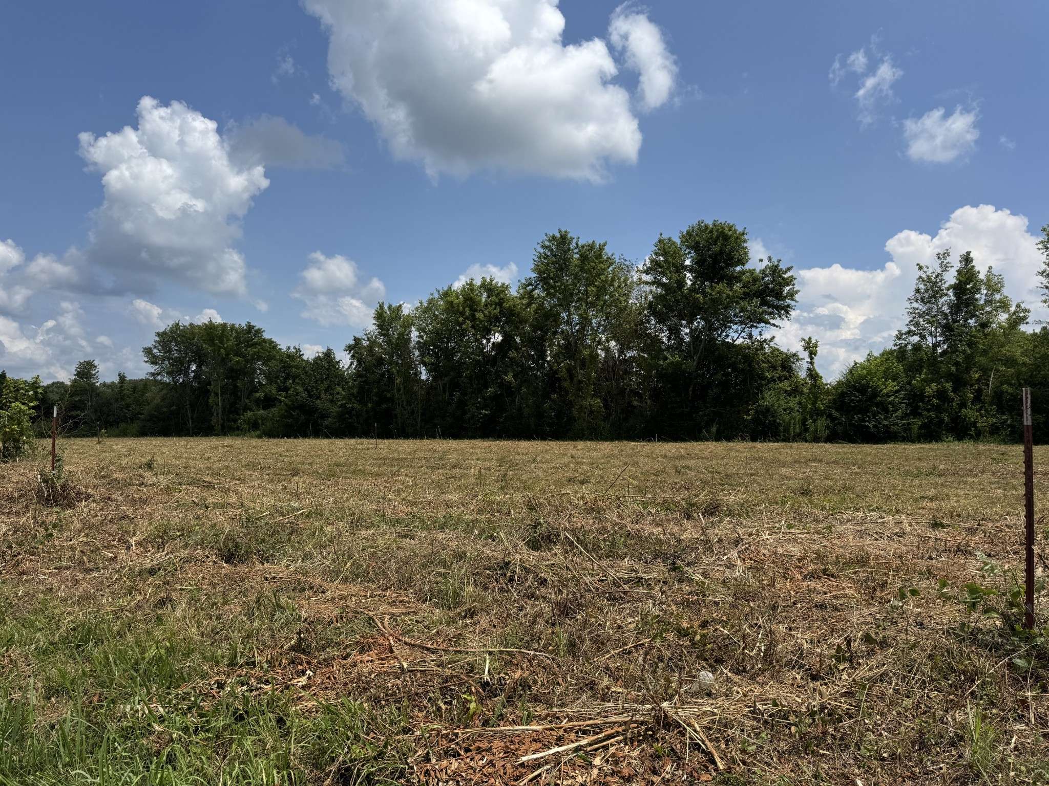 Smithville, TN 37166,0 Shaw St