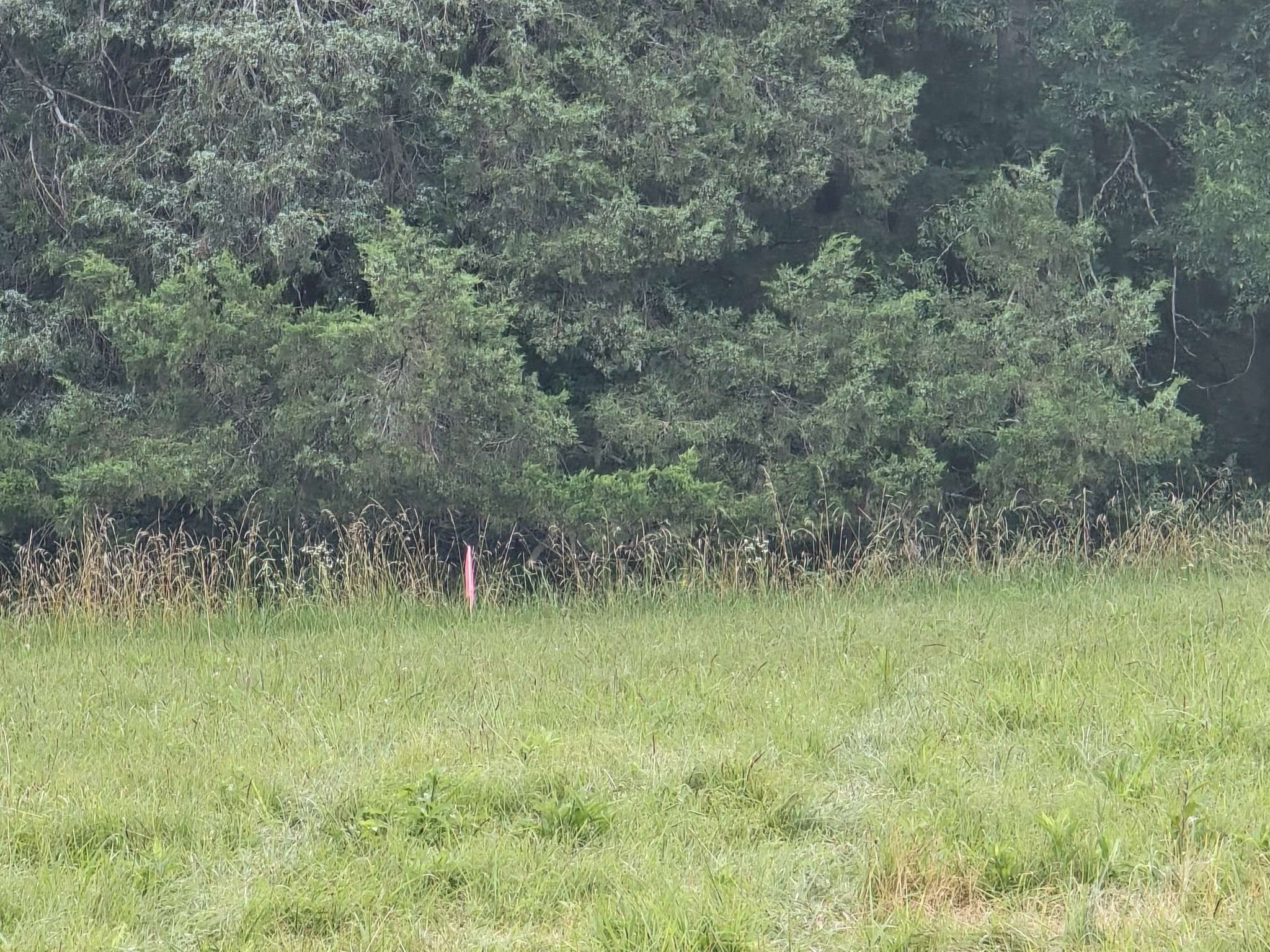 Lewisburg, TN 37091,0 Nashville Hwy