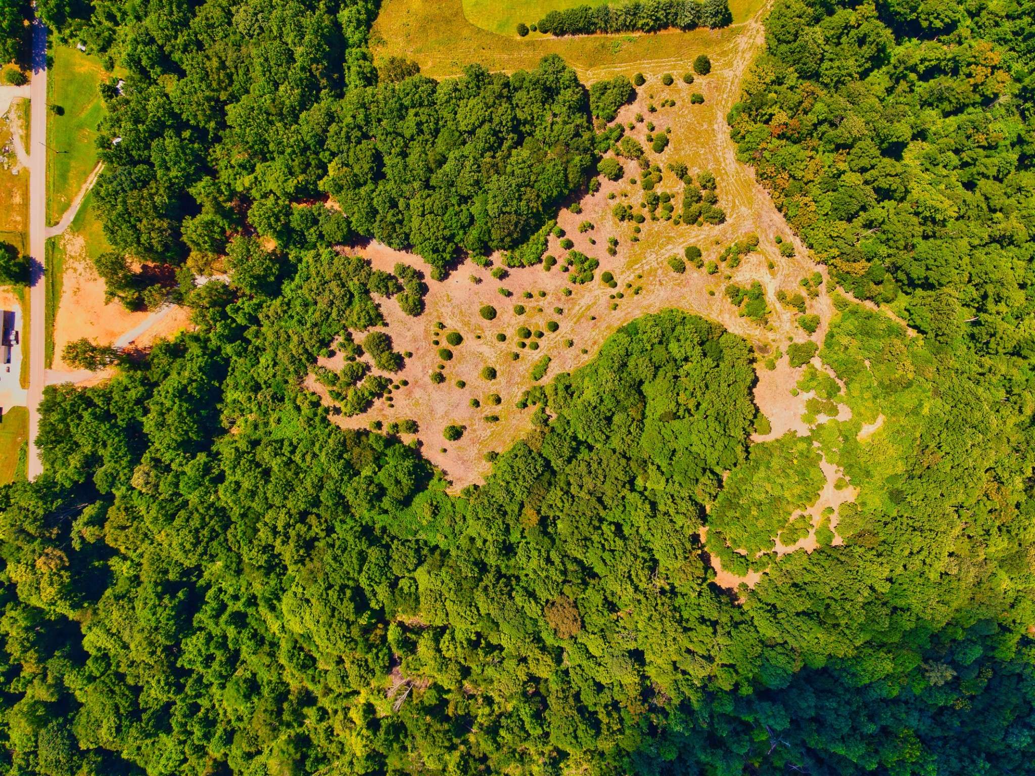 Palmyra, TN 37142,4200 Shiloh Canaan Rd