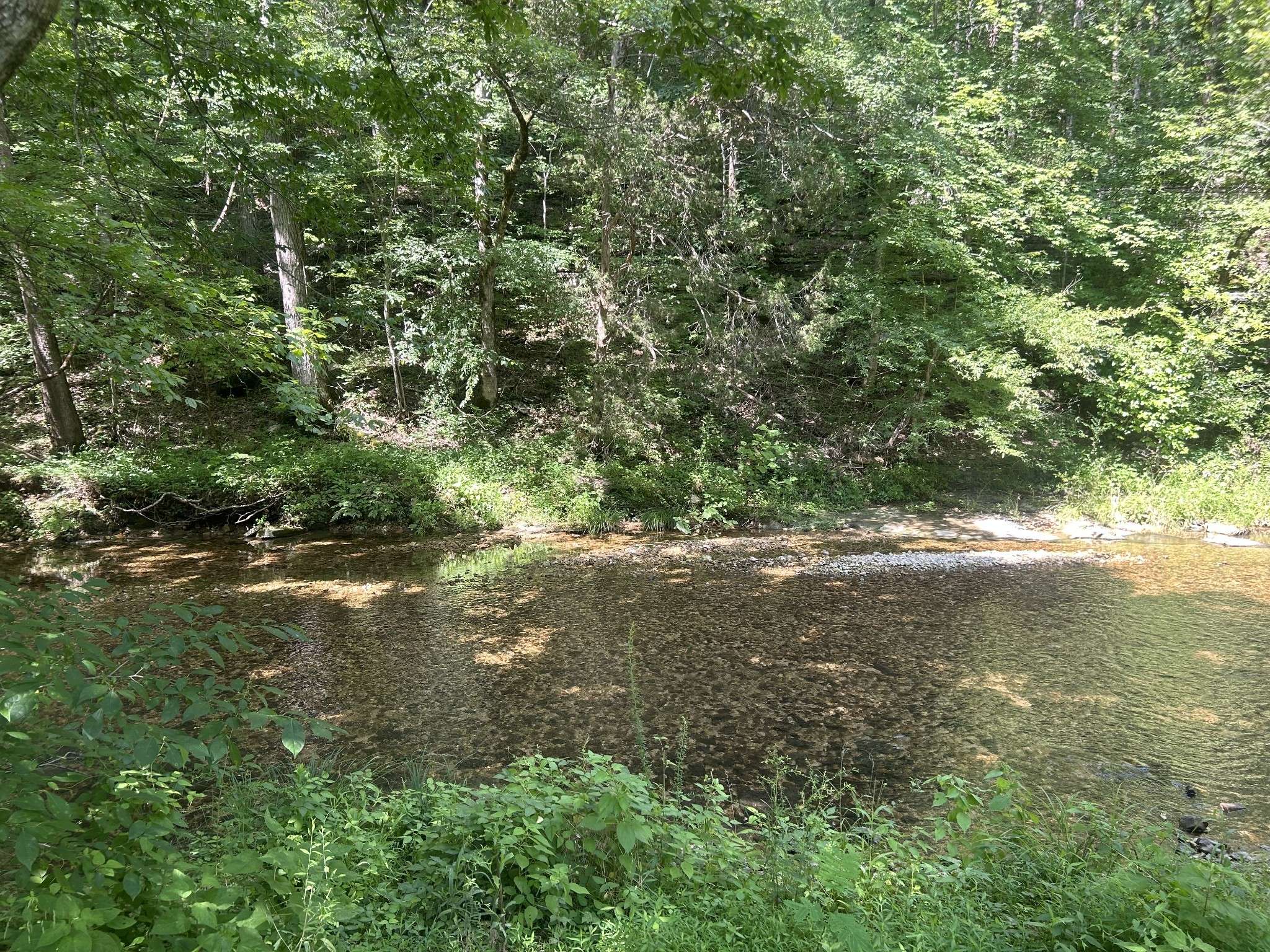 Waynesboro, TN 38485,1775 Old Beech Creek Rd