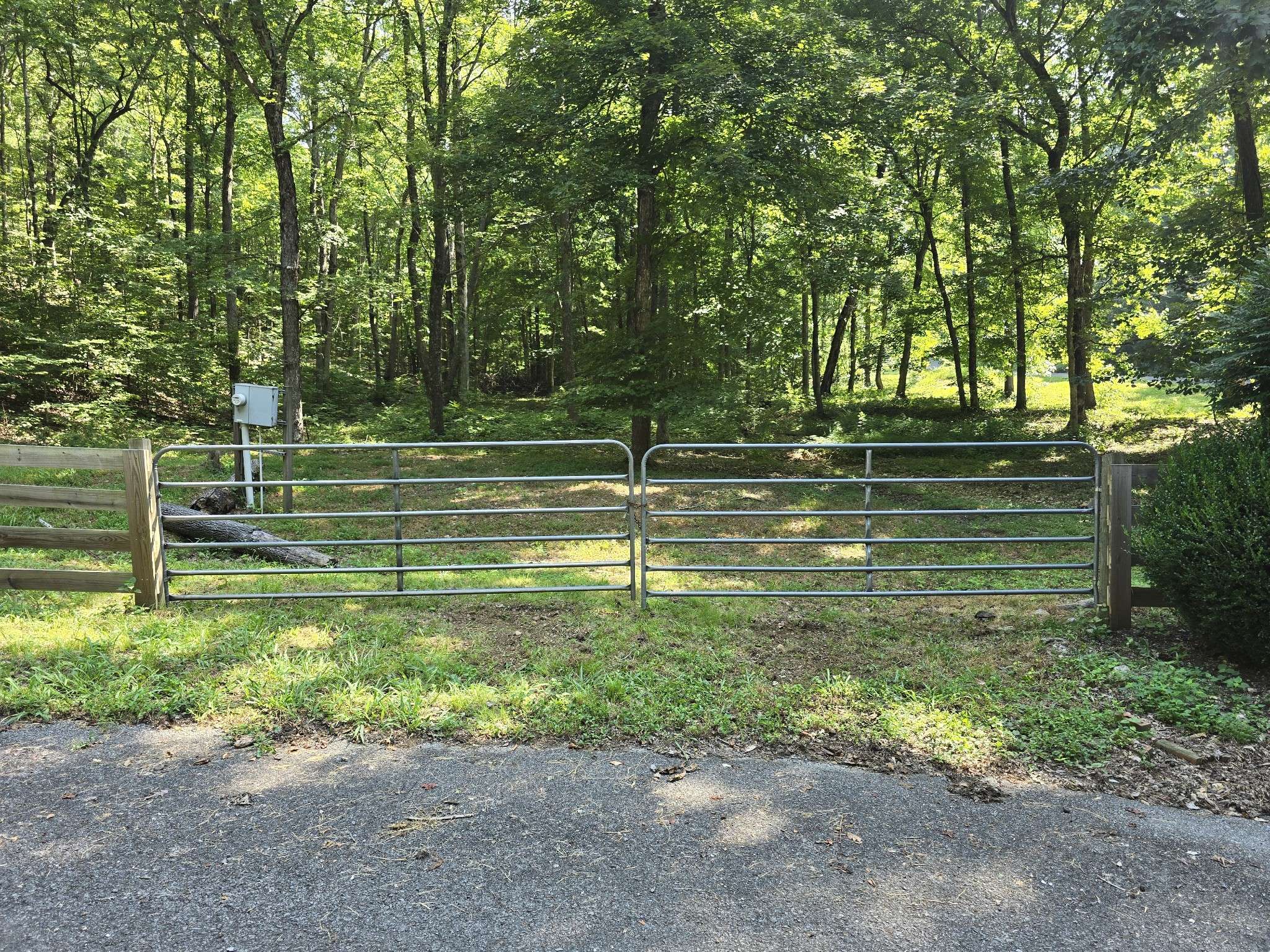 Waverly, TN 37185,0 Forest xing