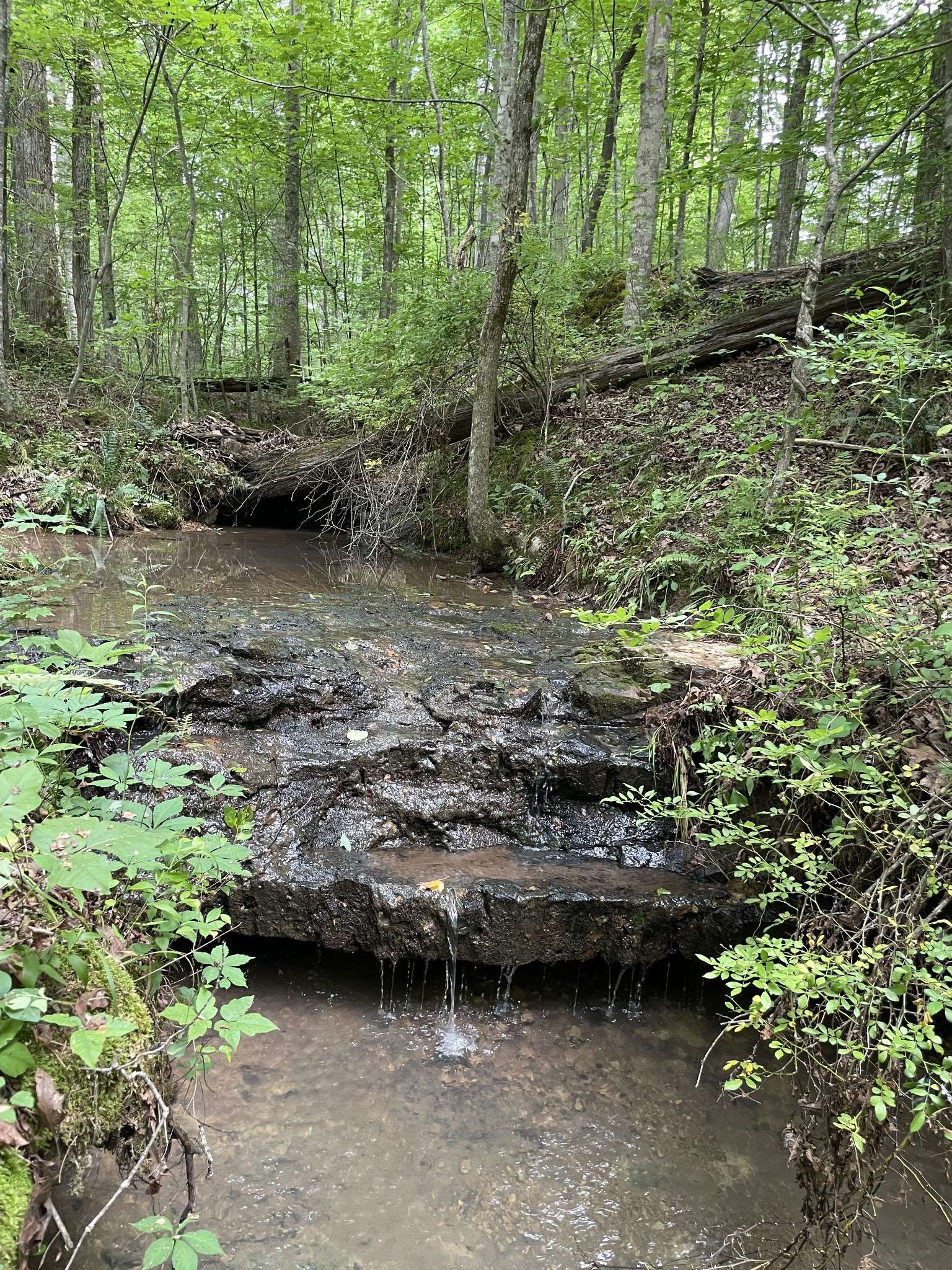 Franklin, TN 37064,5756 Green Chapel Rd