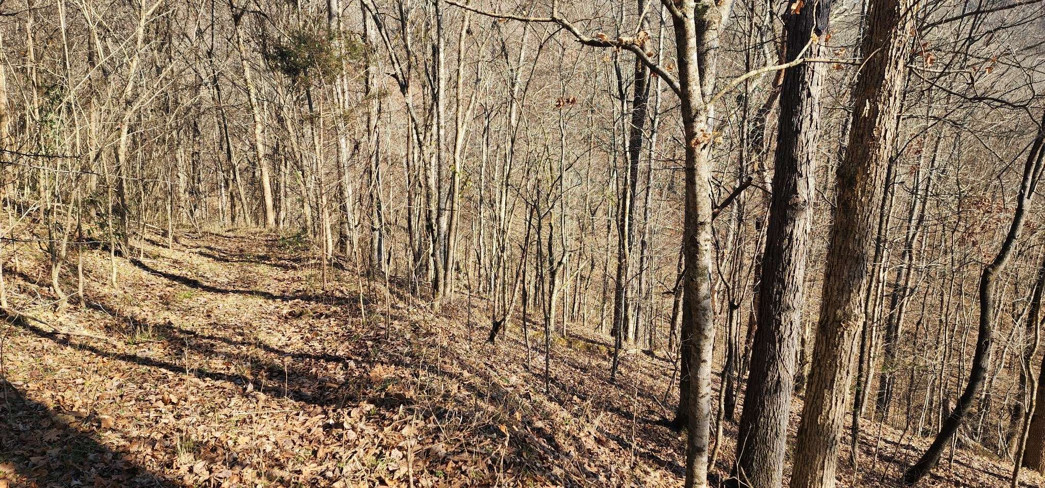 Smithville, TN 37166,15 Lake Meadow Dr