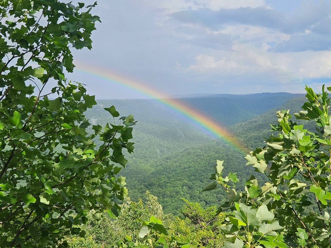 Beersheba Springs, TN 37305,0 Grassy Ridge Rd