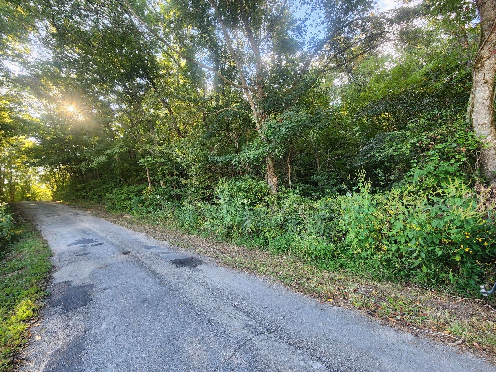 Waynesboro, TN 38485,0 Blowing Springs
