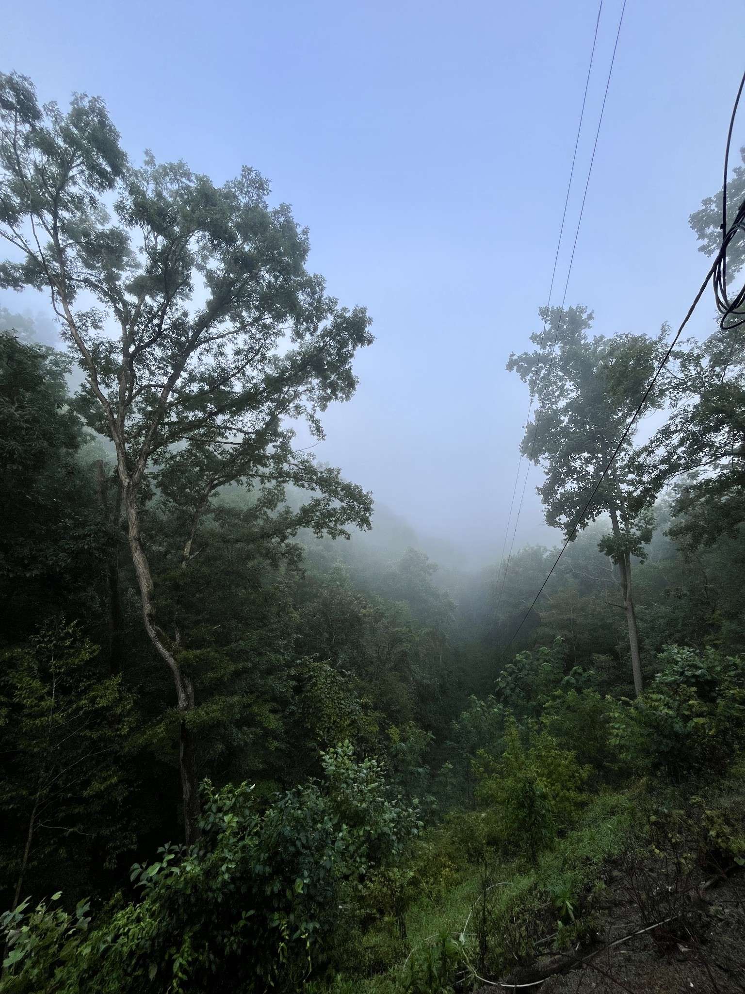 Bristol, TN 37620,1 Lakeview Dock Rd