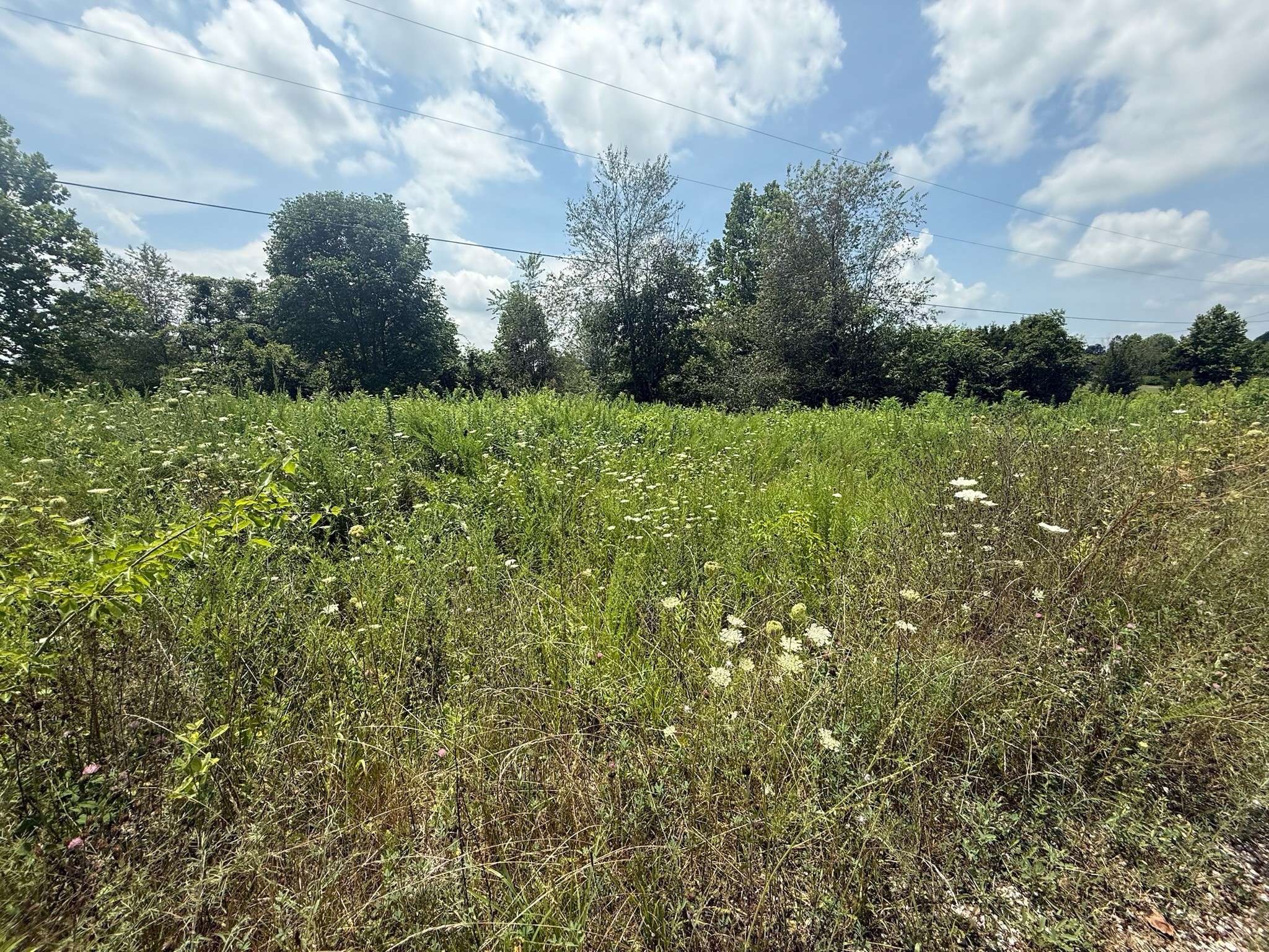 Big Clifty, KY 42712,375 Langley Dr