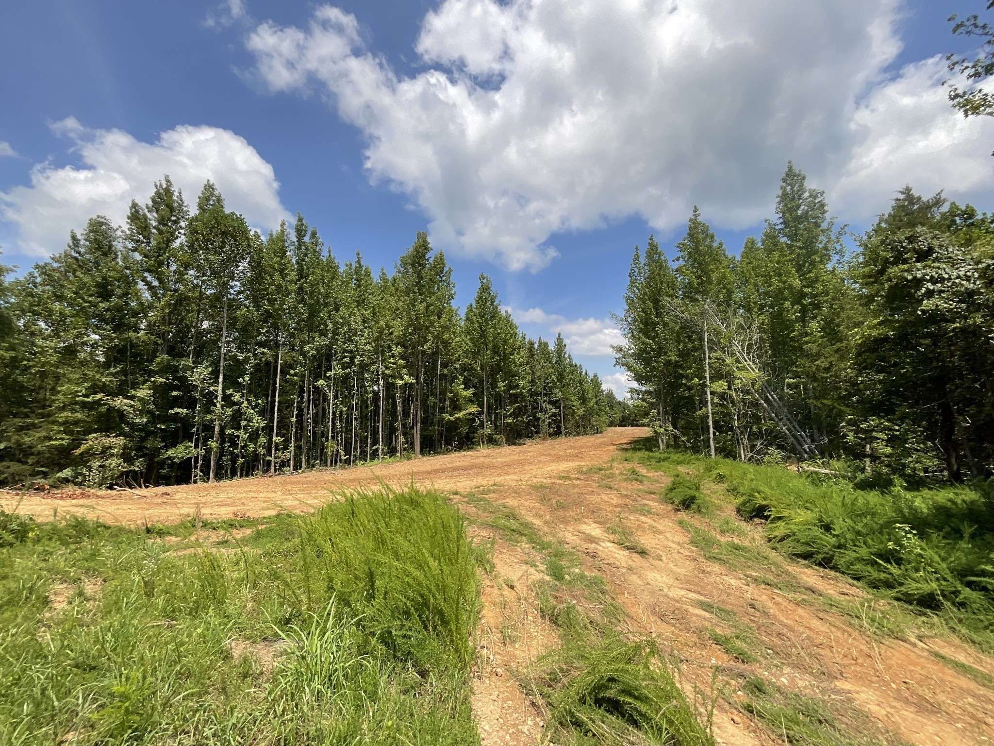 Palmyra, TN 37142,2 Lyle Hollow Rd