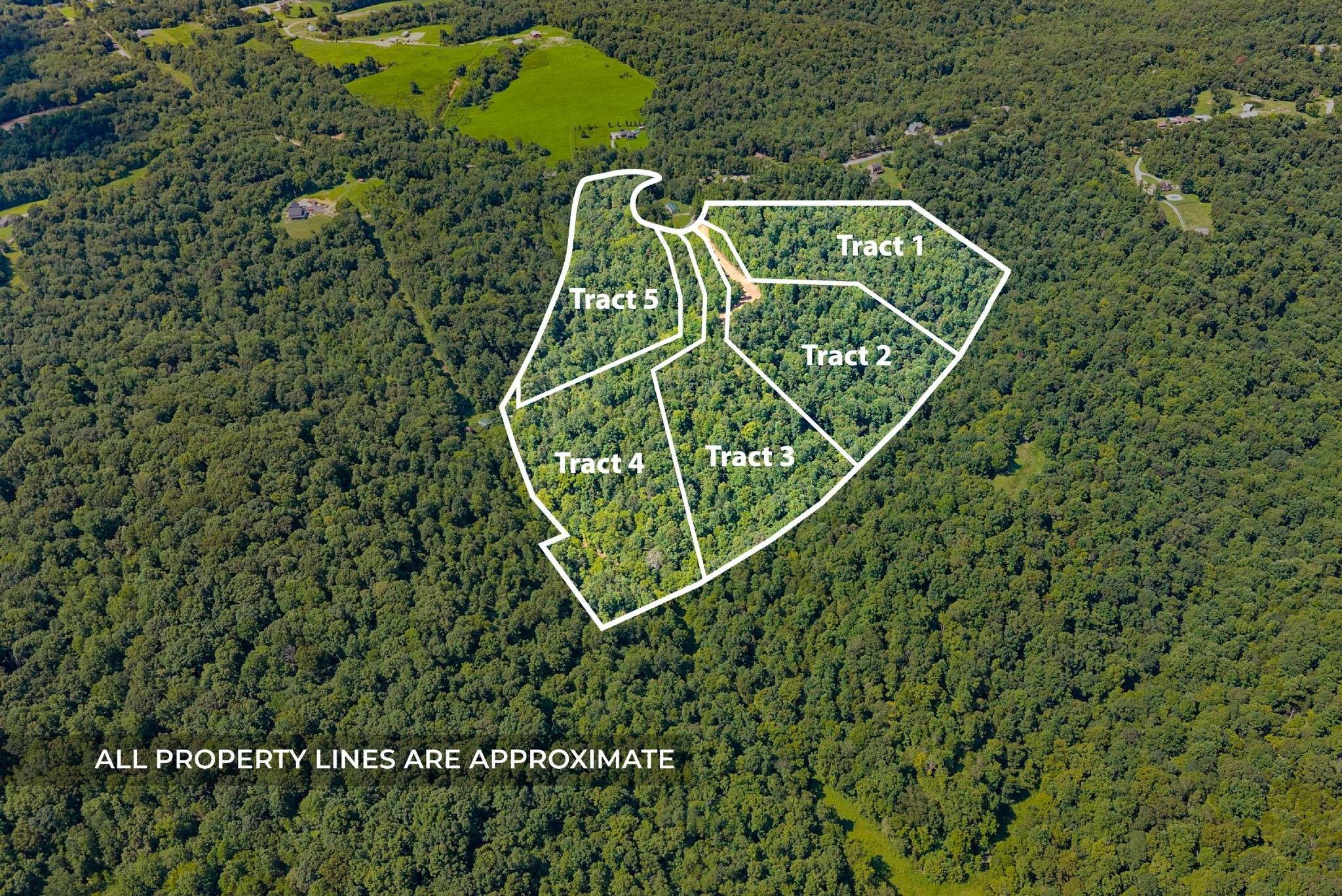 Palmyra, TN 37142,2 Lyle Hollow Rd