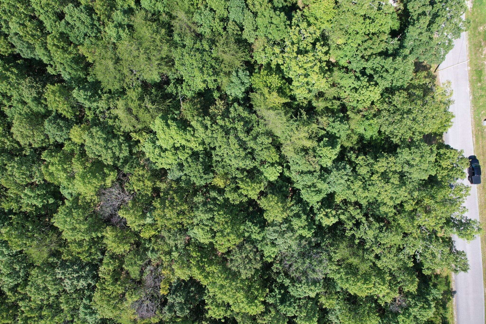 Pikeville, TN 37367,0 Gray Rock Vw