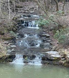 Smithville, TN 37166,1045 Jones Mill Rd