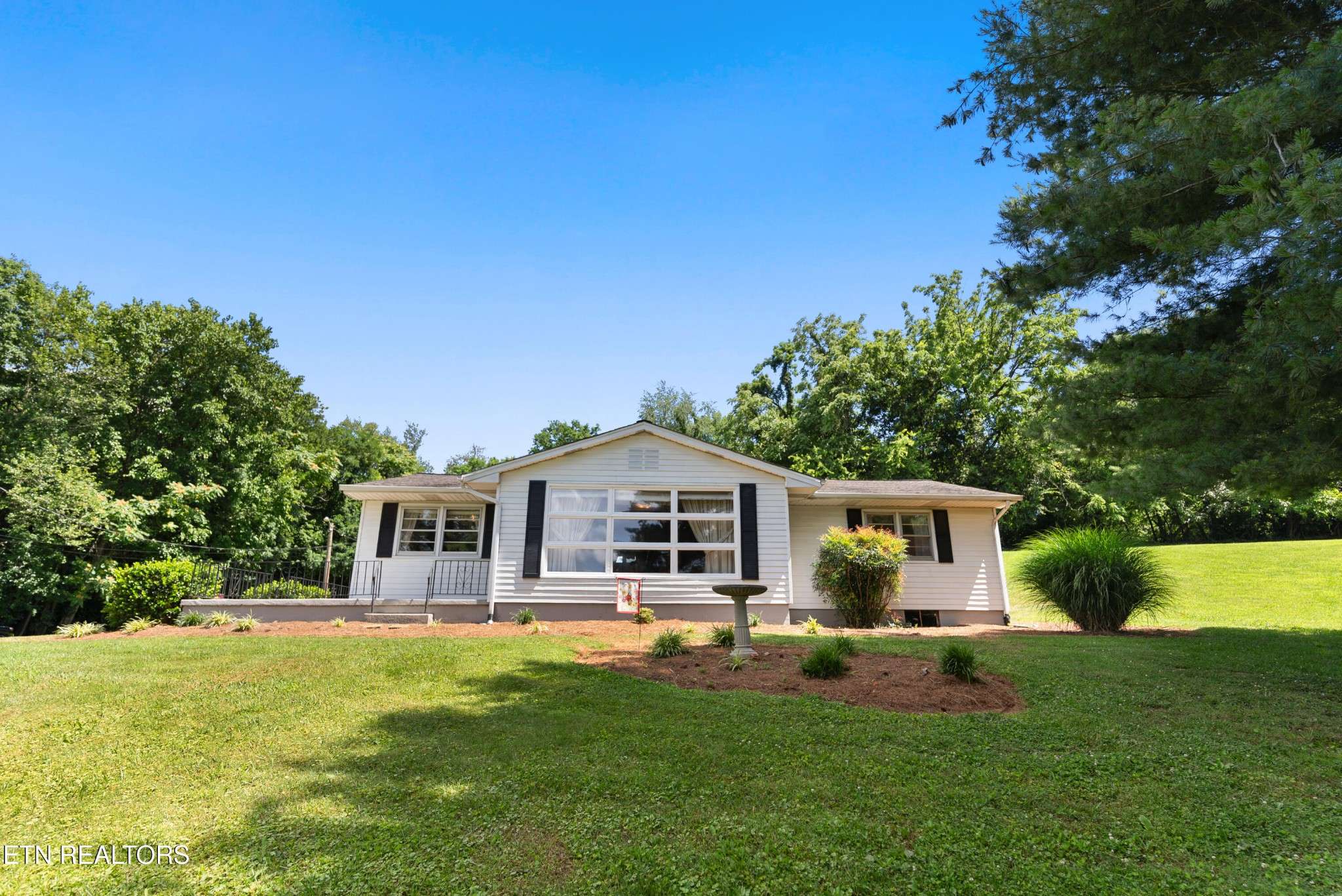 Knoxville, TN 37917,4008 Washington Pike