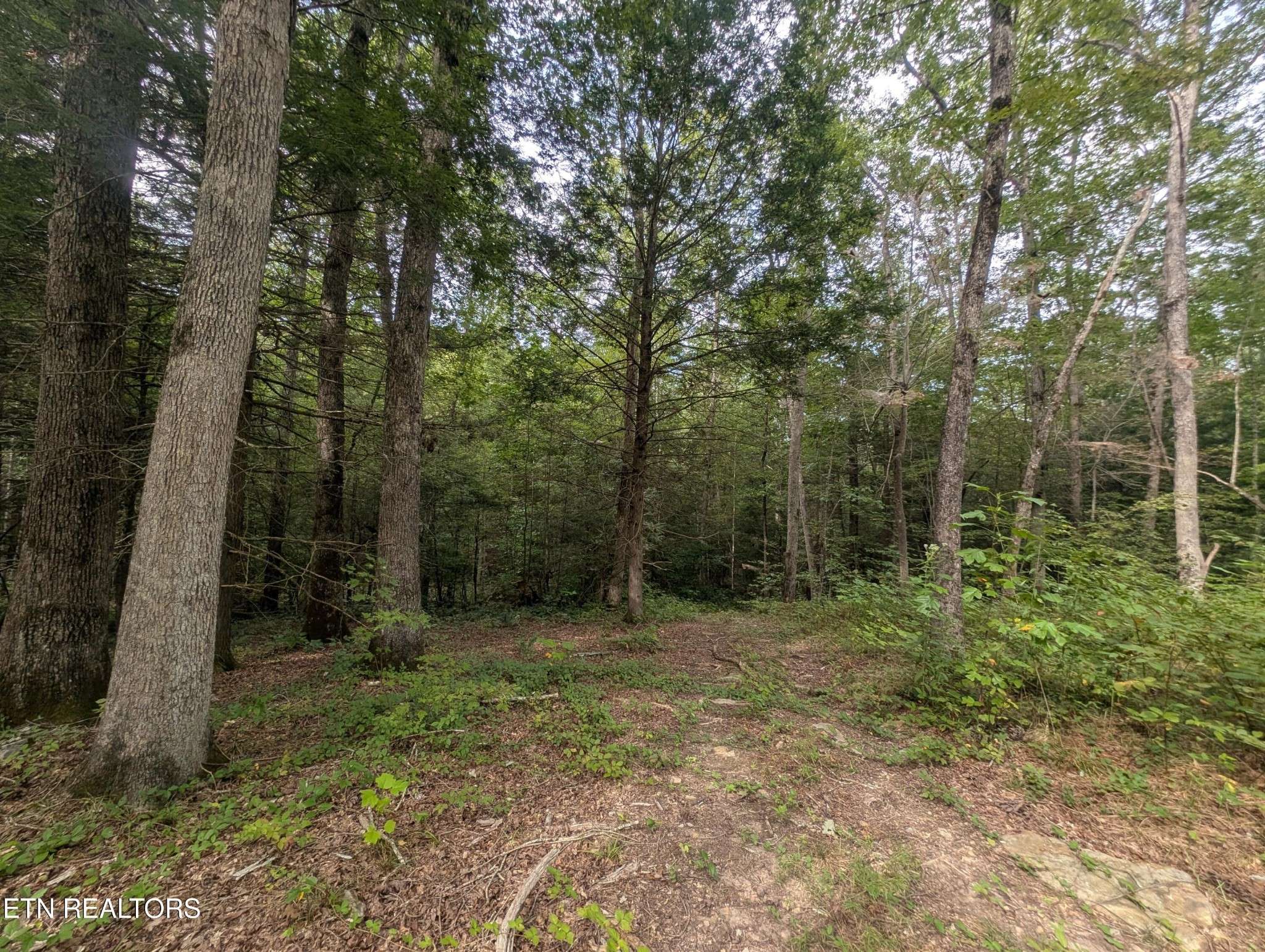 Clarkrange, TN 38553,0 Hollow Creek Lane