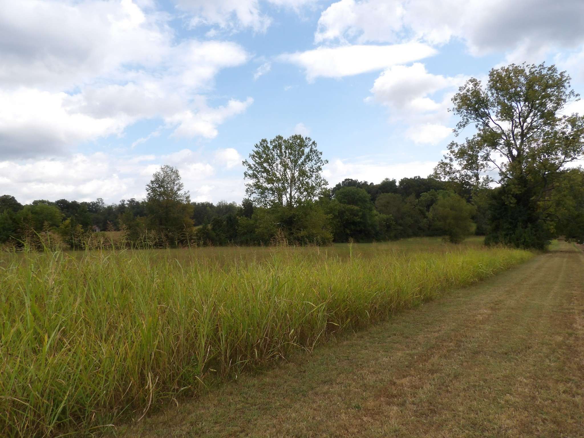 Waverly, TN 37185,0 Highway 70 East