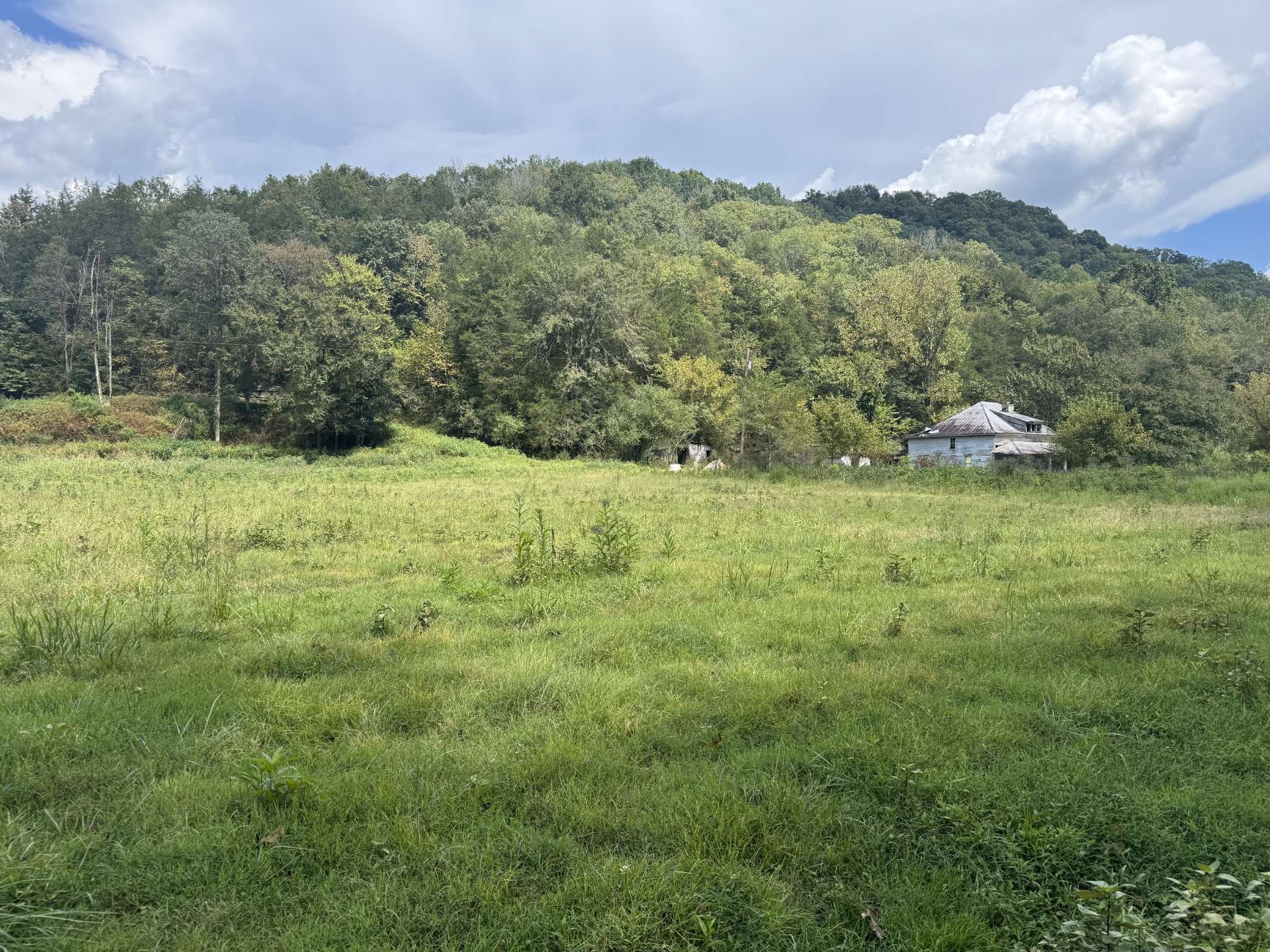 Gainesboro, TN 38562,0 Hurricane Branch Ln