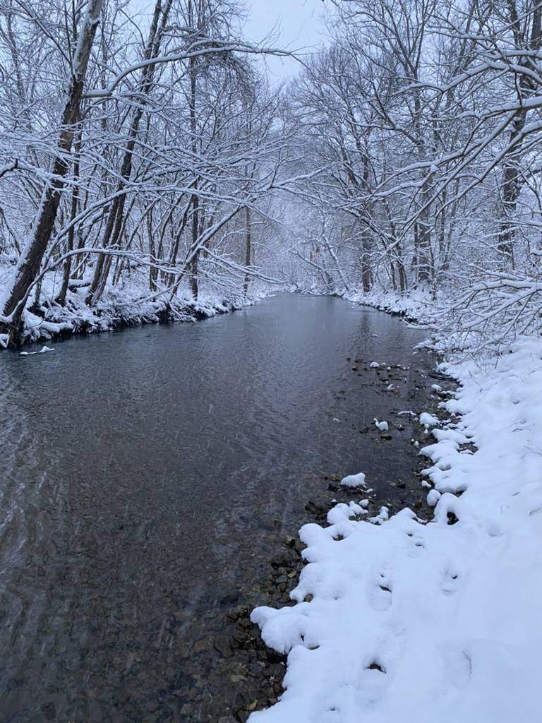 Celina, TN 38551,5930 Wet Mill Creek Rd