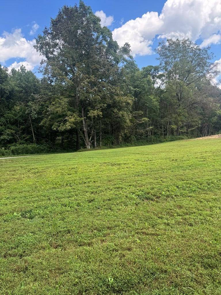 Gainesboro, TN 38562,0 Beaver Ln
