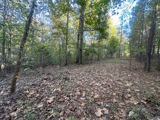 Dover, TN 37058,0 Amanda Rd