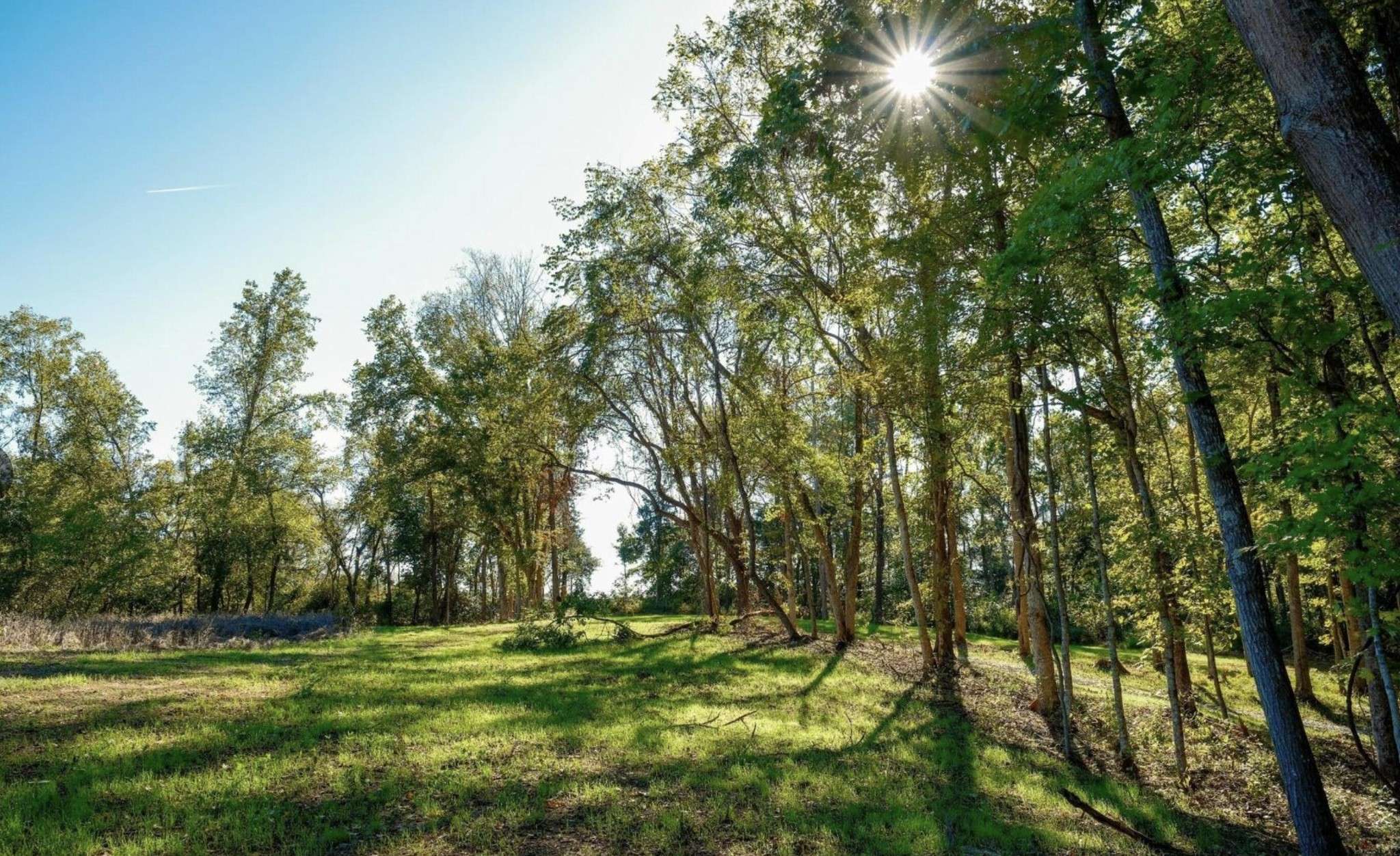 Cedar Hill, TN 37032,9 Sturgeon Creek Road