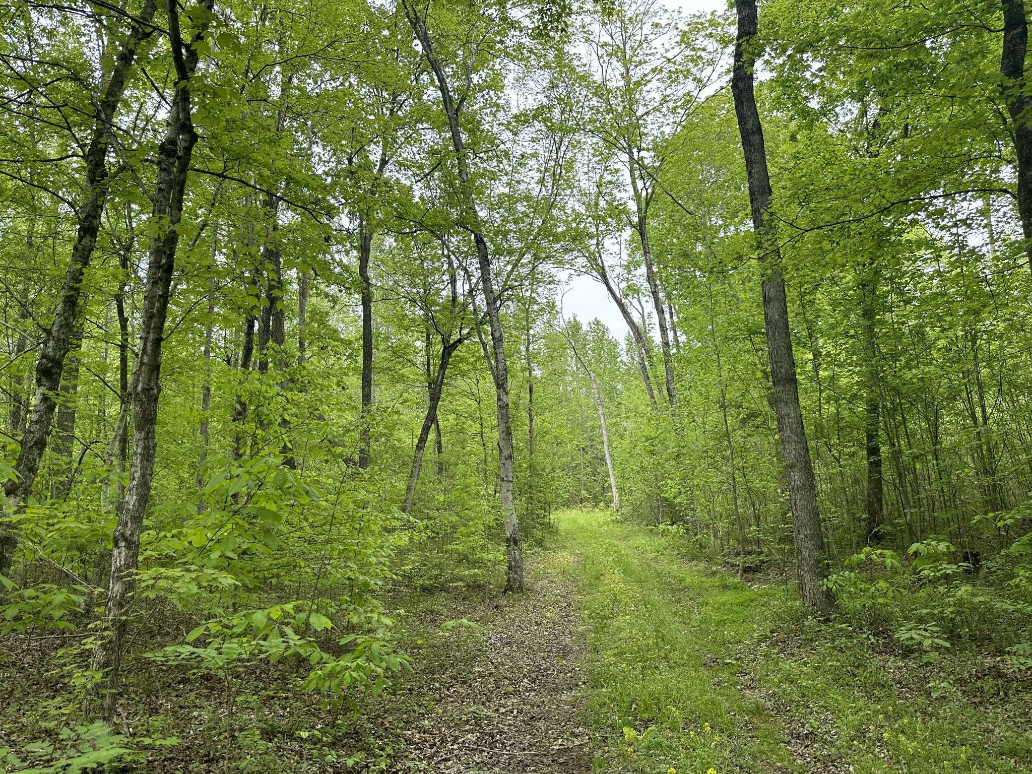 Chapmansboro, TN 37035,1 Poplar Ridge Rd