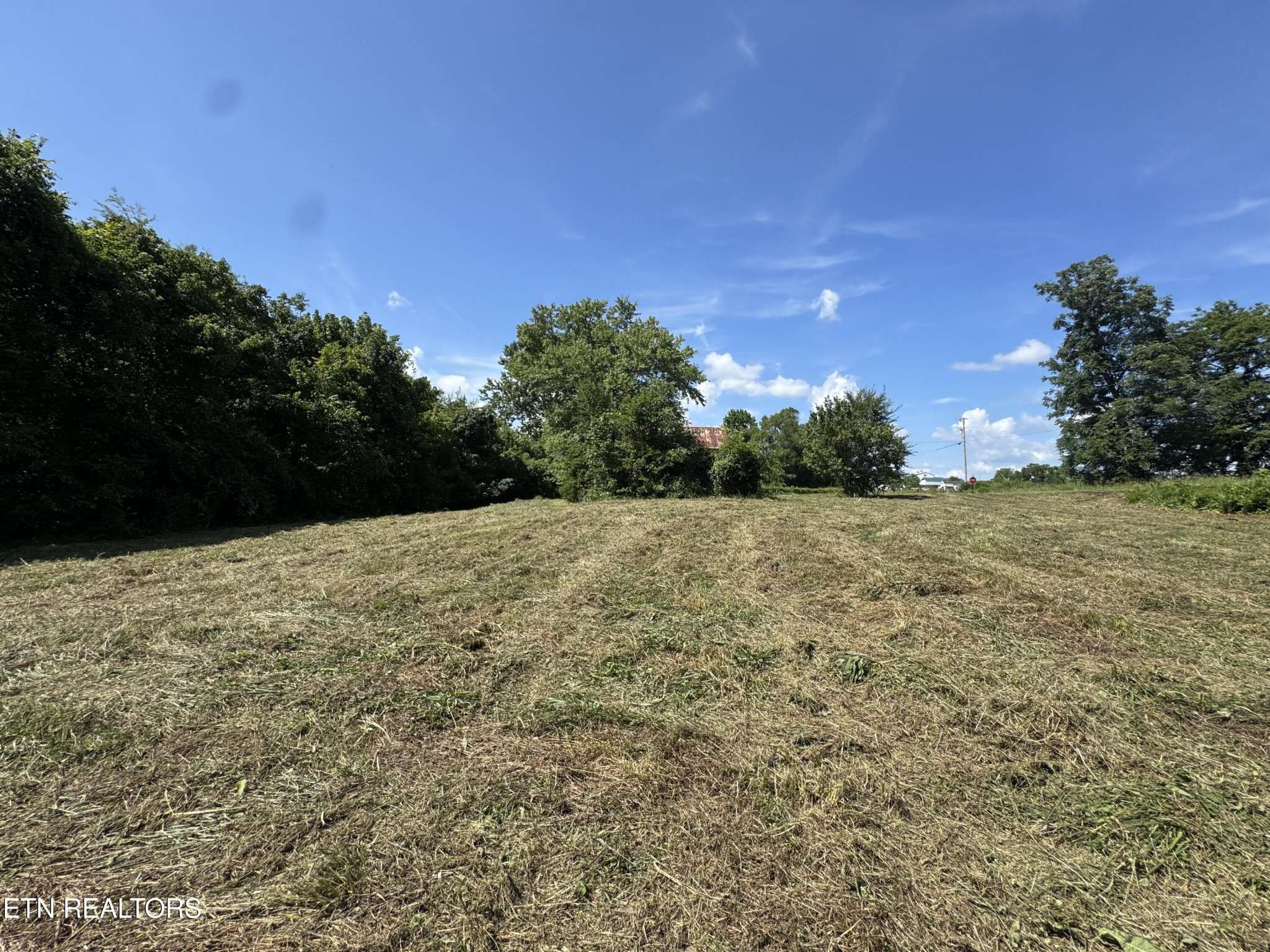 White Pine, TN 37890,0 Leadvale Church Rd