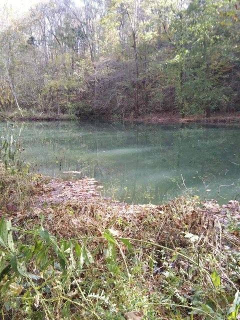 Rock Island, TN 38581,351 Rocky RIver Road