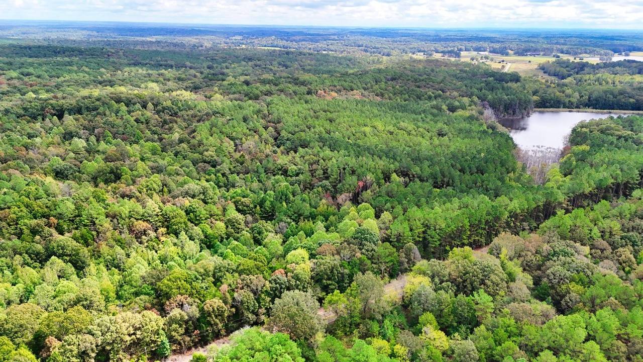 Bolivar, TN 38008,0 Sain Rd