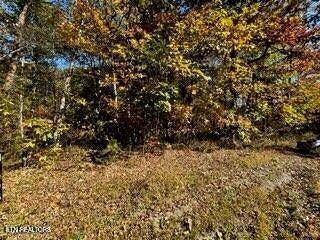 Crawford, TN 38554,46 Honey Springs Rd